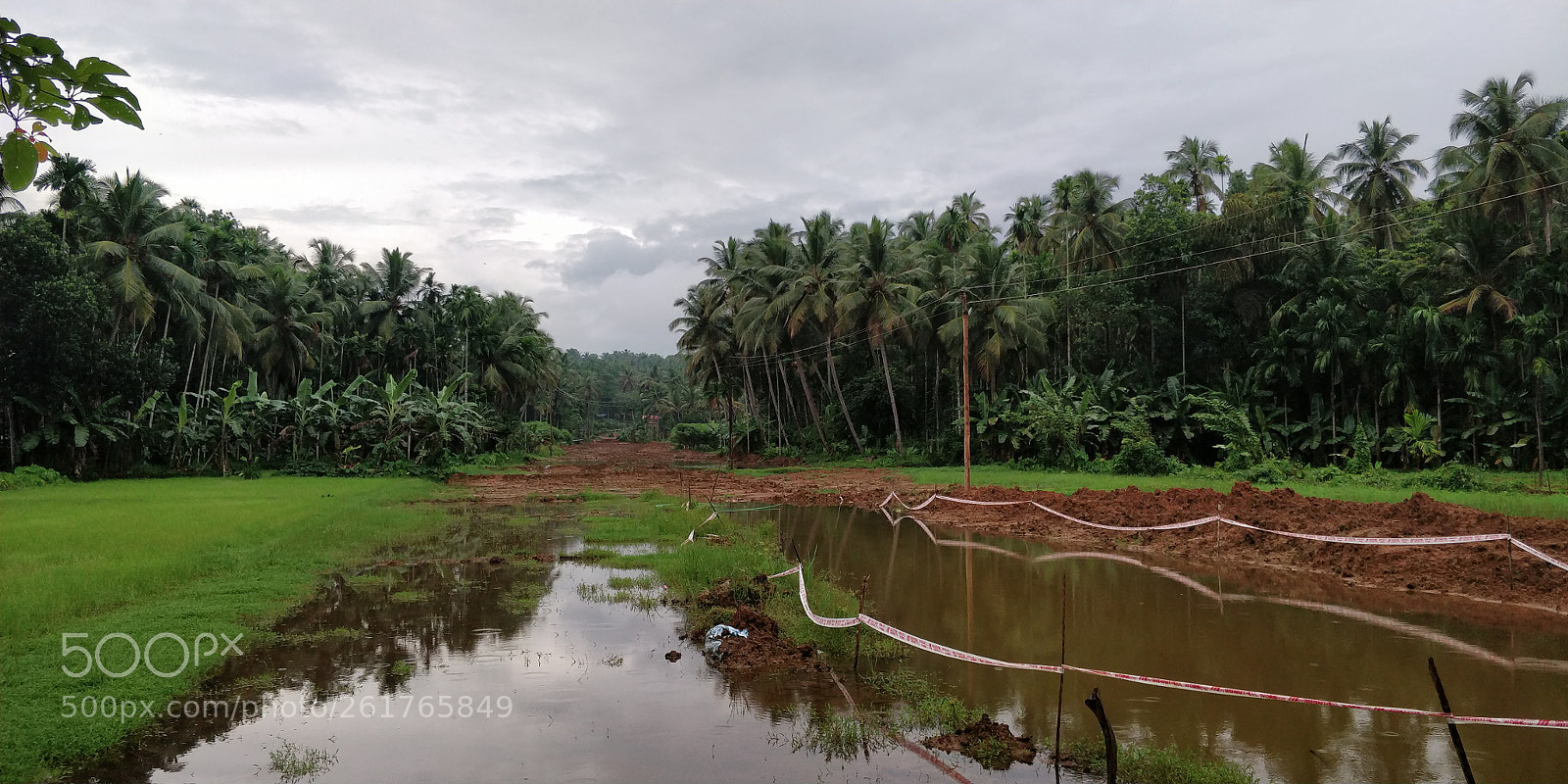 OnePlus 5T sample photo. Blue and green! photography