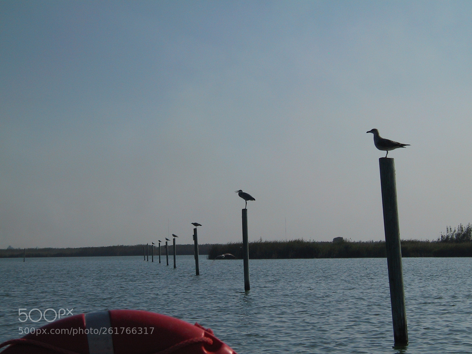 Canon POWERSHOT G1 sample photo. Albufera 02 photography