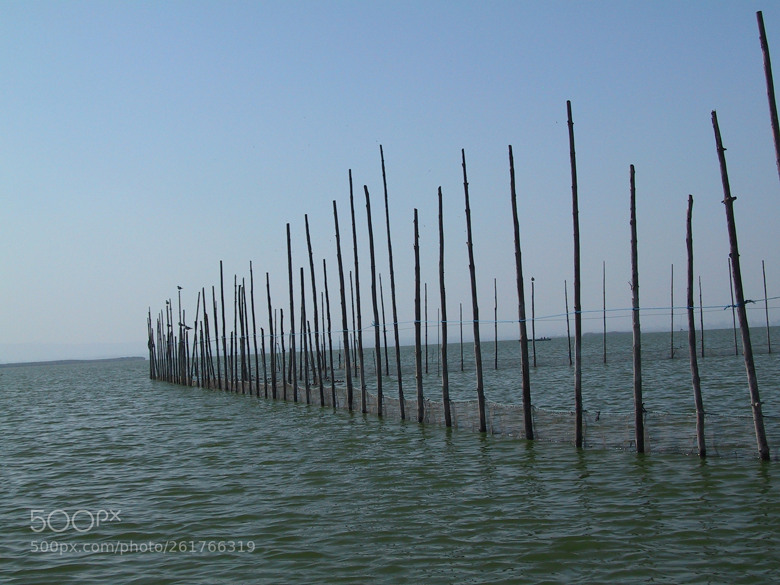 Canon POWERSHOT G1 sample photo. Albufera 01 photography