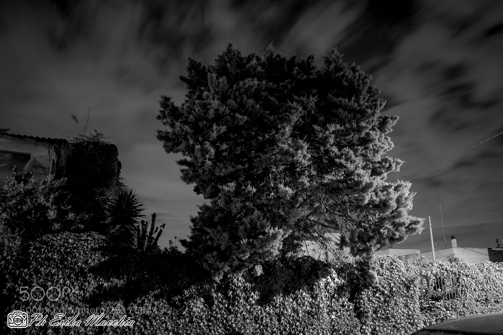Nikon D3400 sample photo. Wuthering heights photography