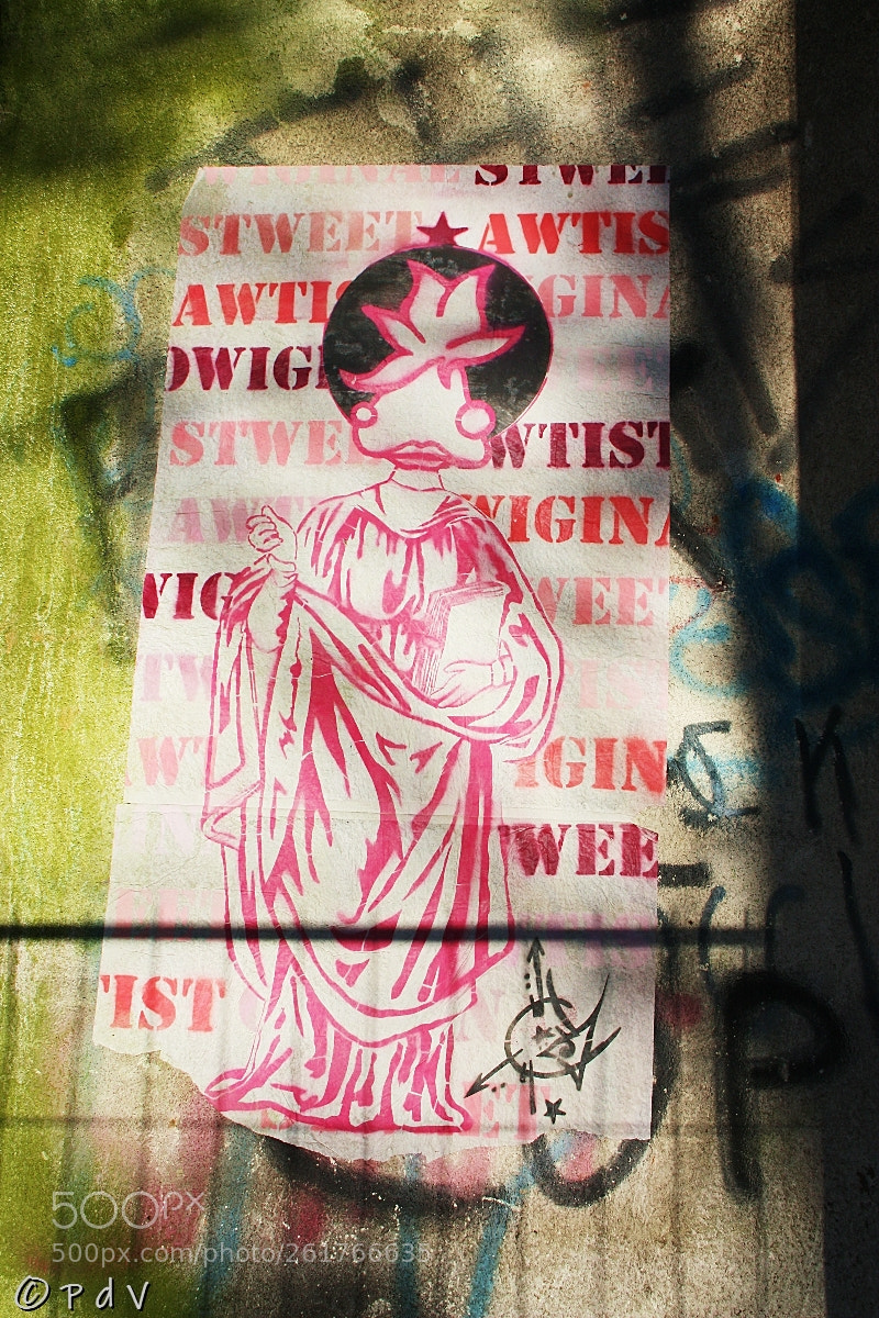 Canon EOS 450D (EOS Rebel XSi / EOS Kiss X2) sample photo. Alien graffiti photography