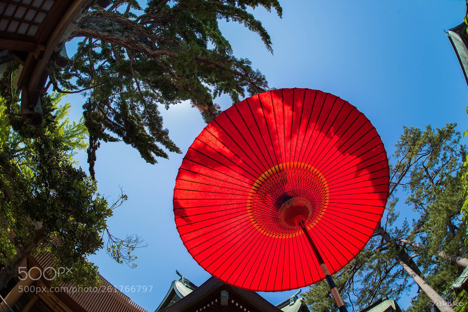 Nikon D750 sample photo. Japanese style photography