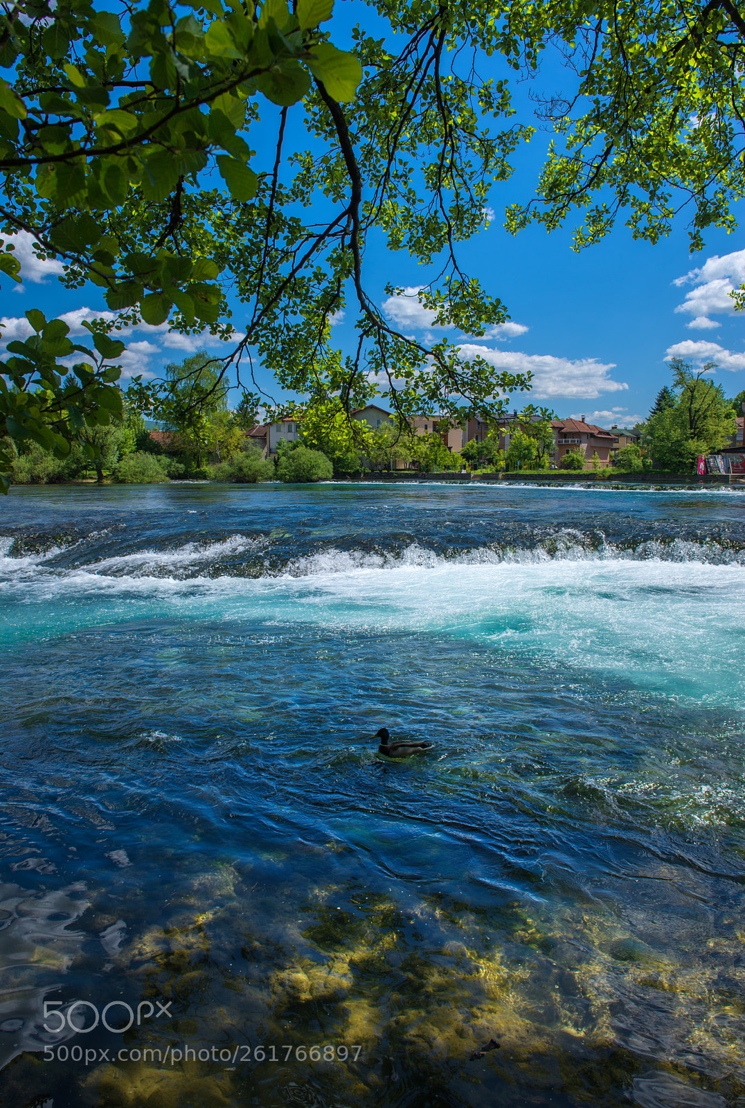 Nikon D610 sample photo. View of river photography