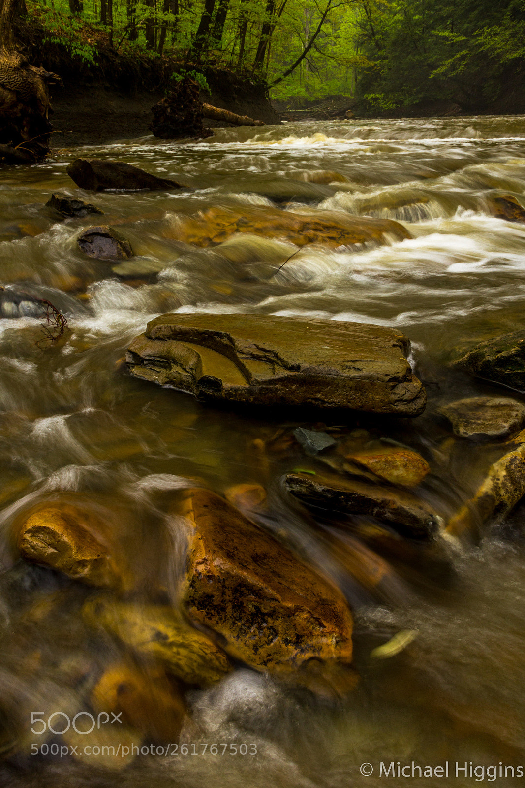Canon EOS 1200D (EOS Rebel T5 / EOS Kiss X70 / EOS Hi) sample photo. Brandywine creek photography