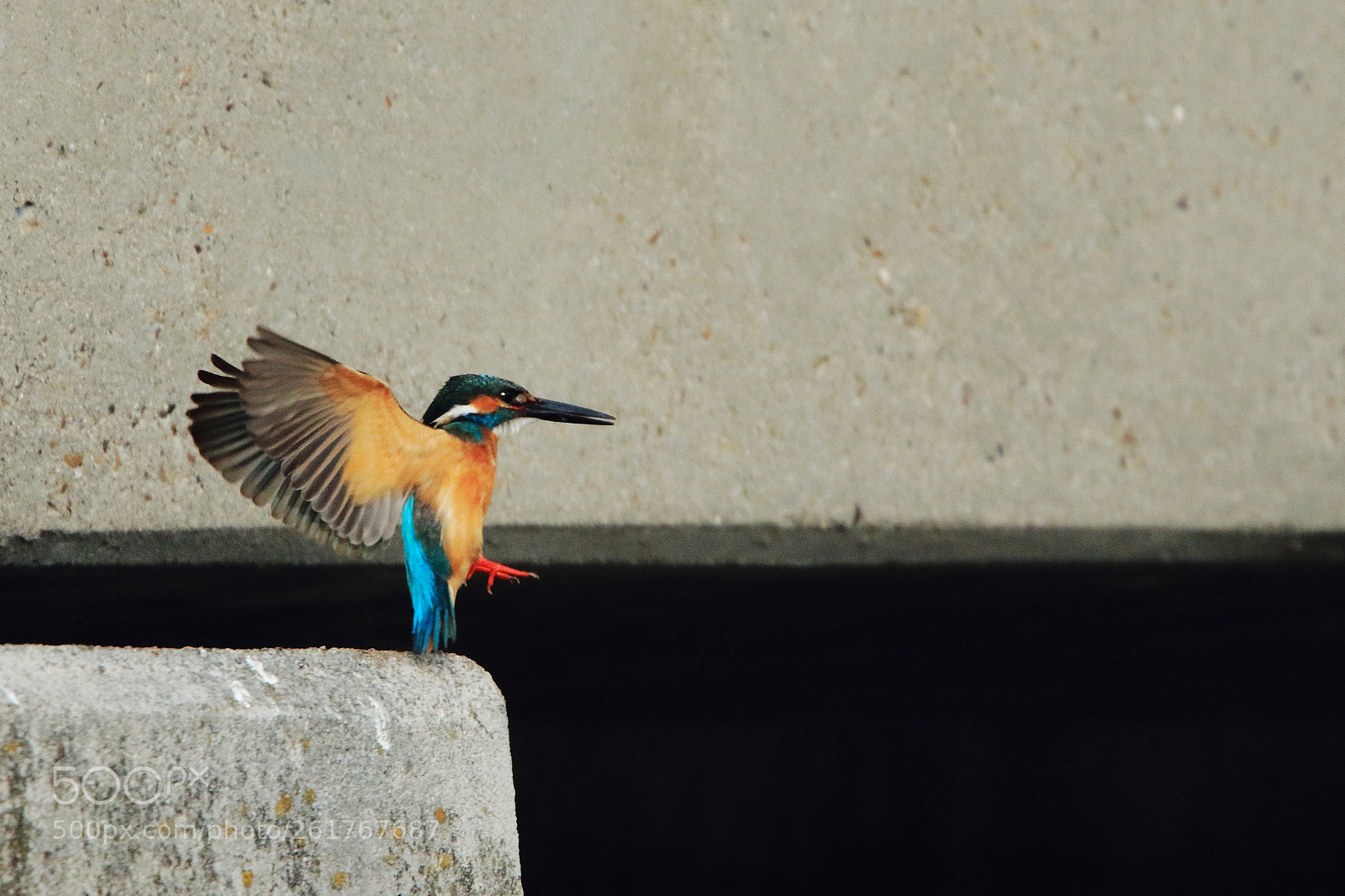 Canon EOS 7D Mark II sample photo. Untitled photography