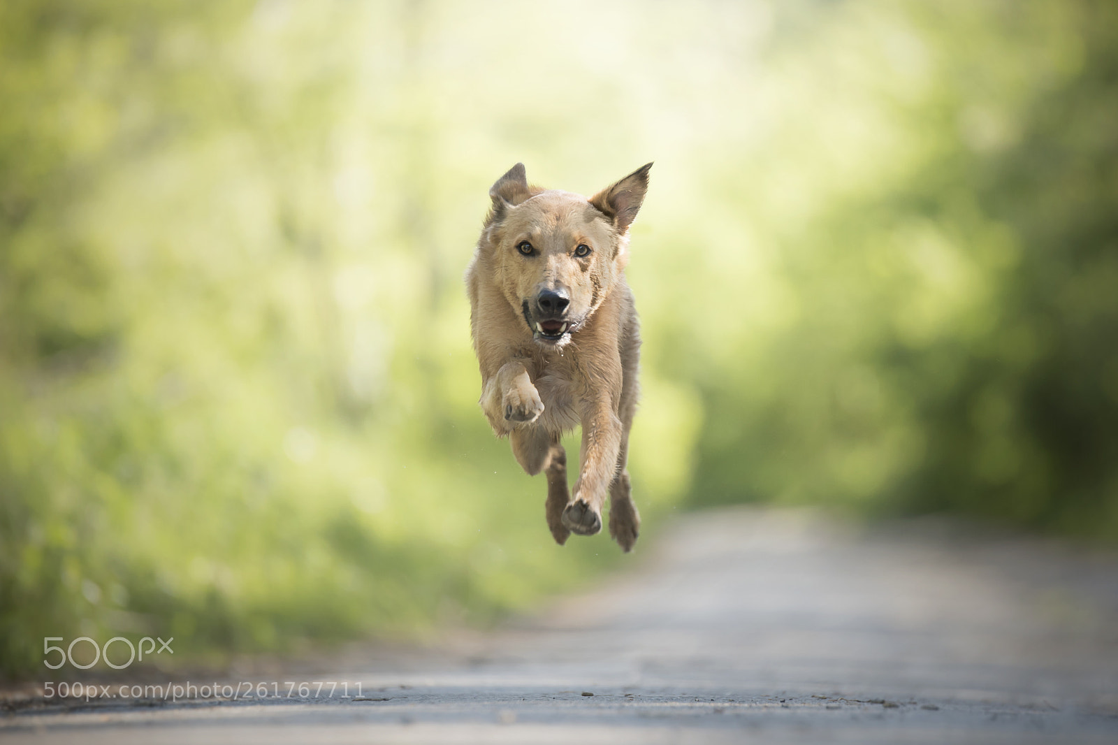 Nikon D750 sample photo. Flying fun <3 photography