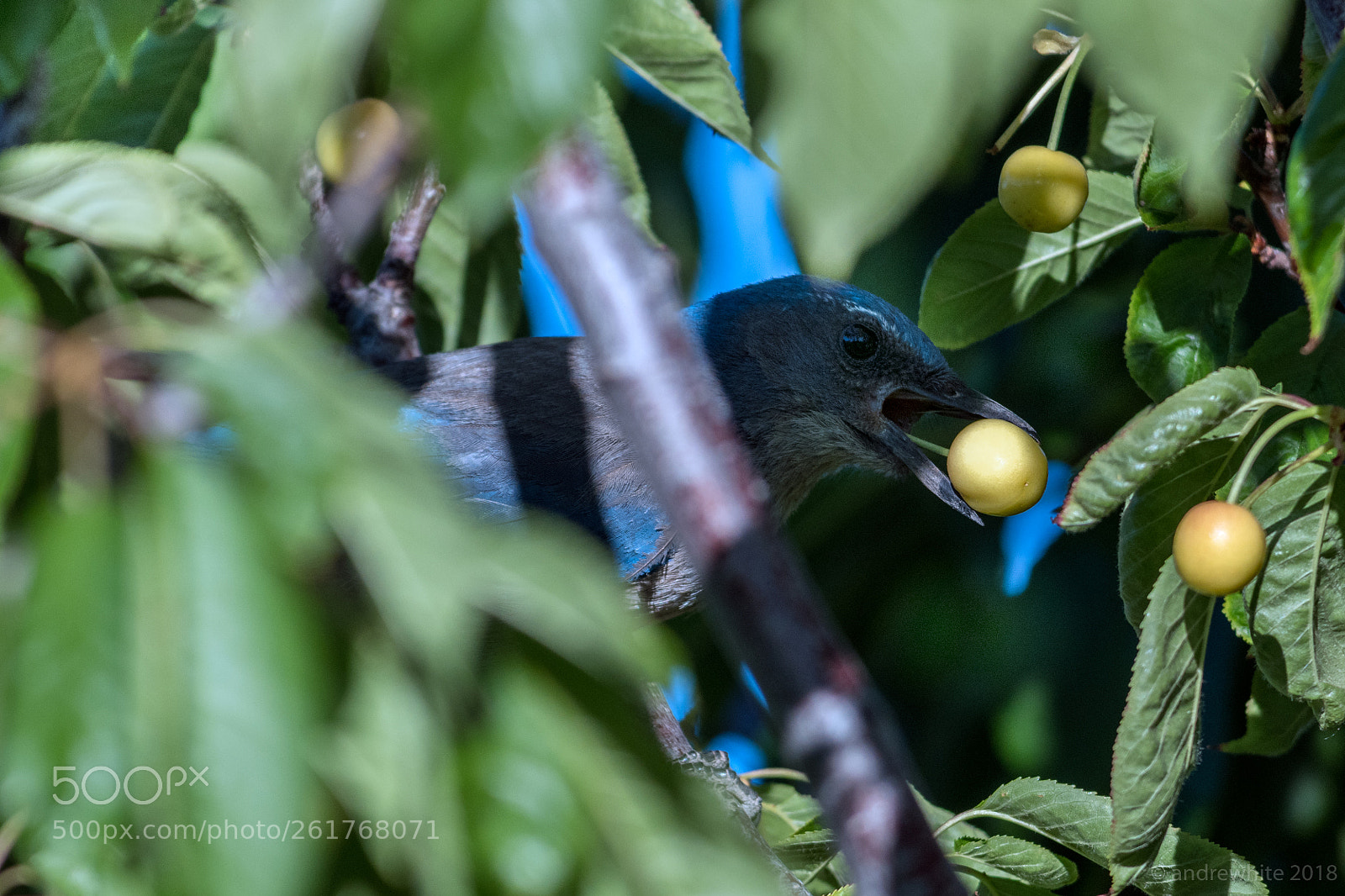 Nikon D850 sample photo. Take out photography