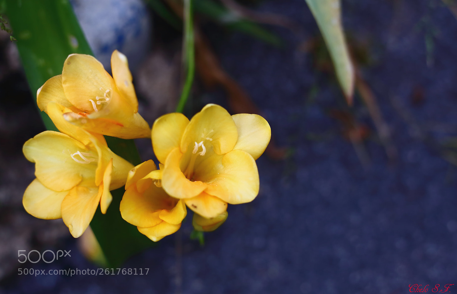 Canon EOS 6D sample photo. Untitled photography