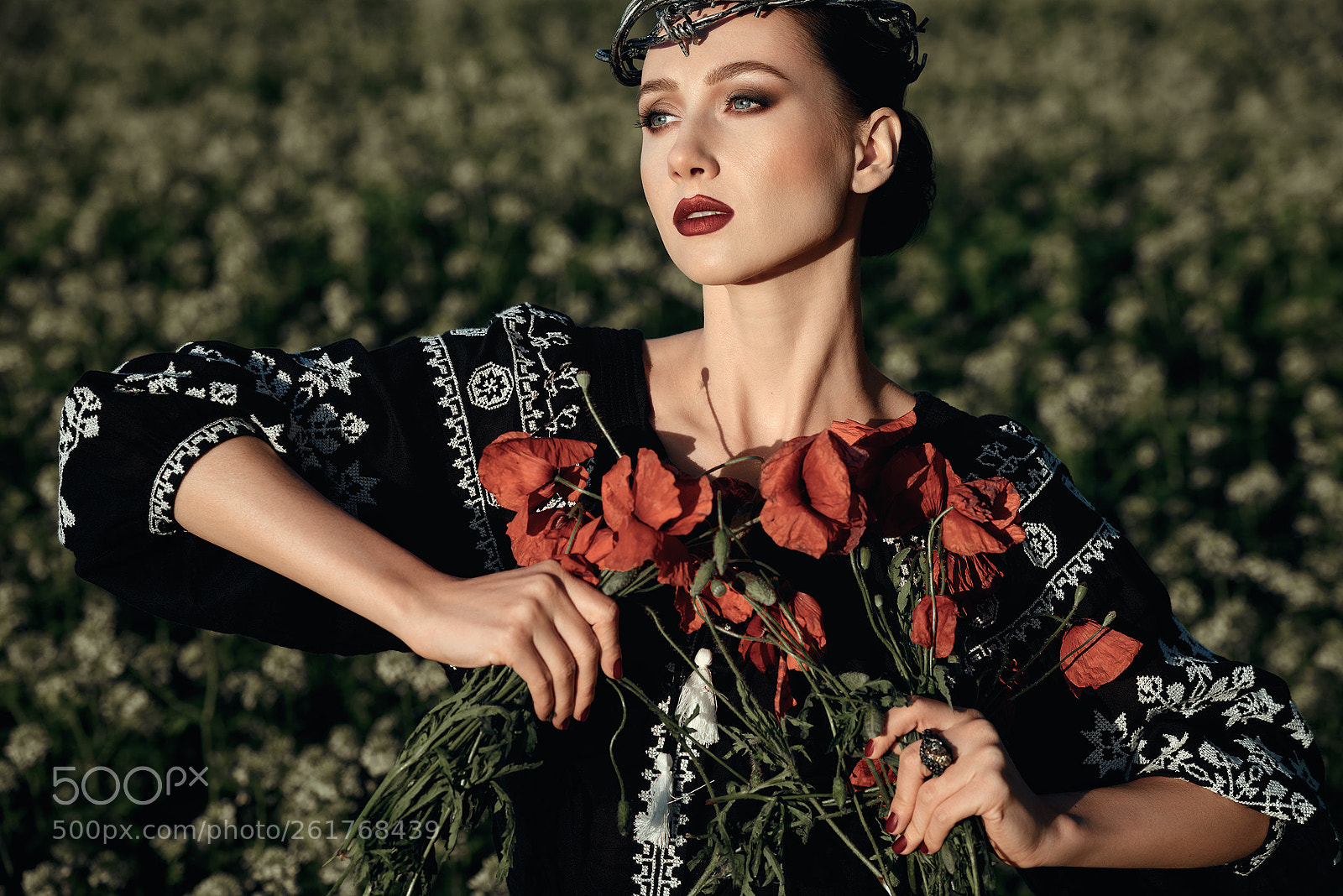 Nikon D800 sample photo. Poppy song photography