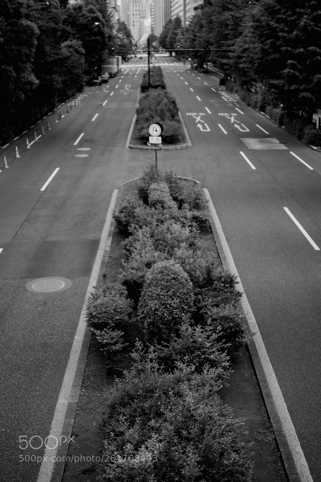 Canon EOS 80D sample photo. The road photography