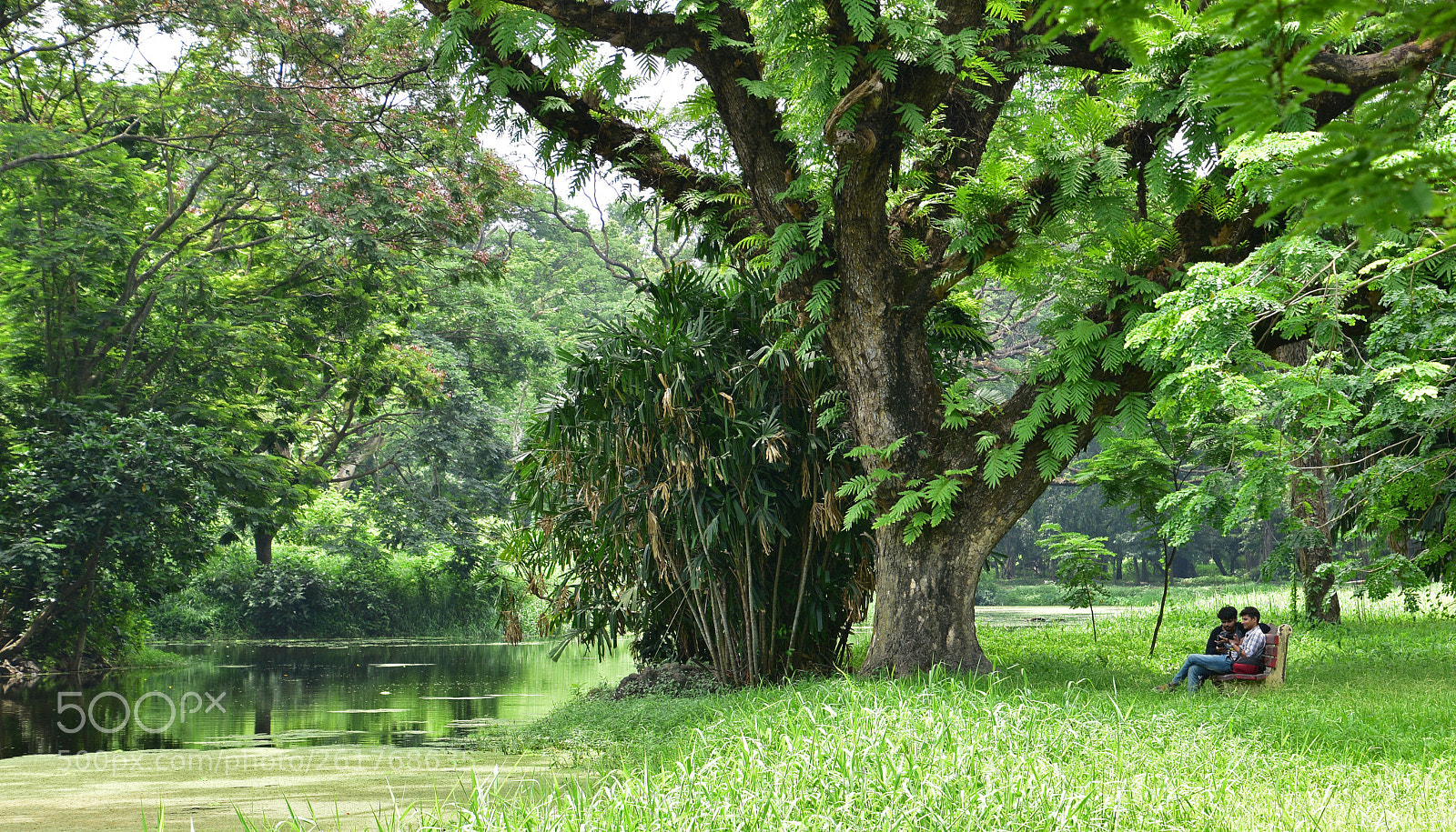 Nikon D7200 sample photo. .... friends ........ photography
