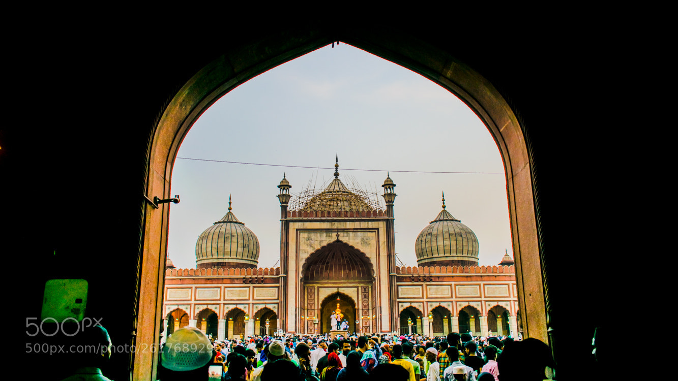 Nikon D5300 sample photo. Jama masjid photography