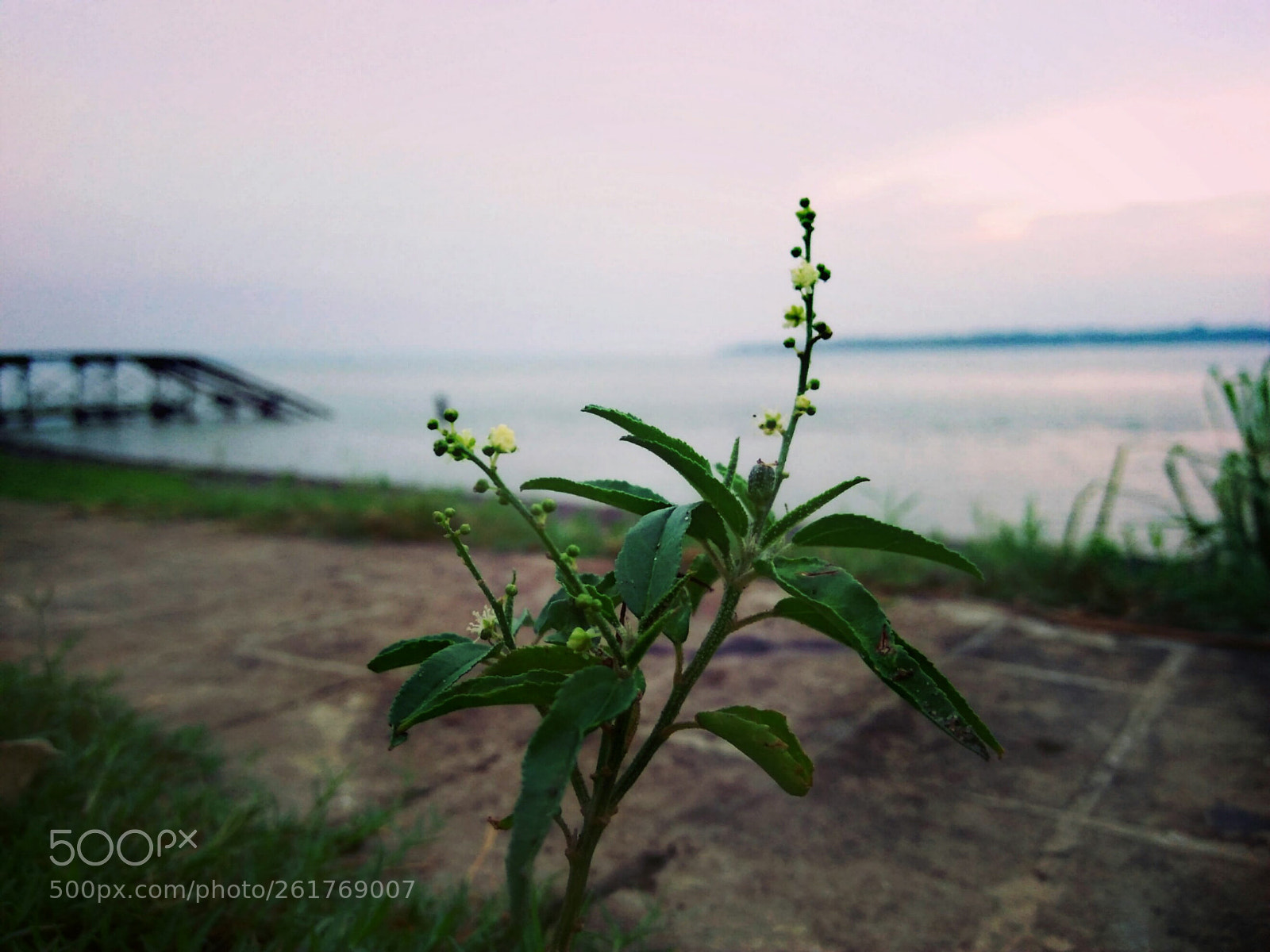 OPPO A37fw-International sample photo. Riverside photography