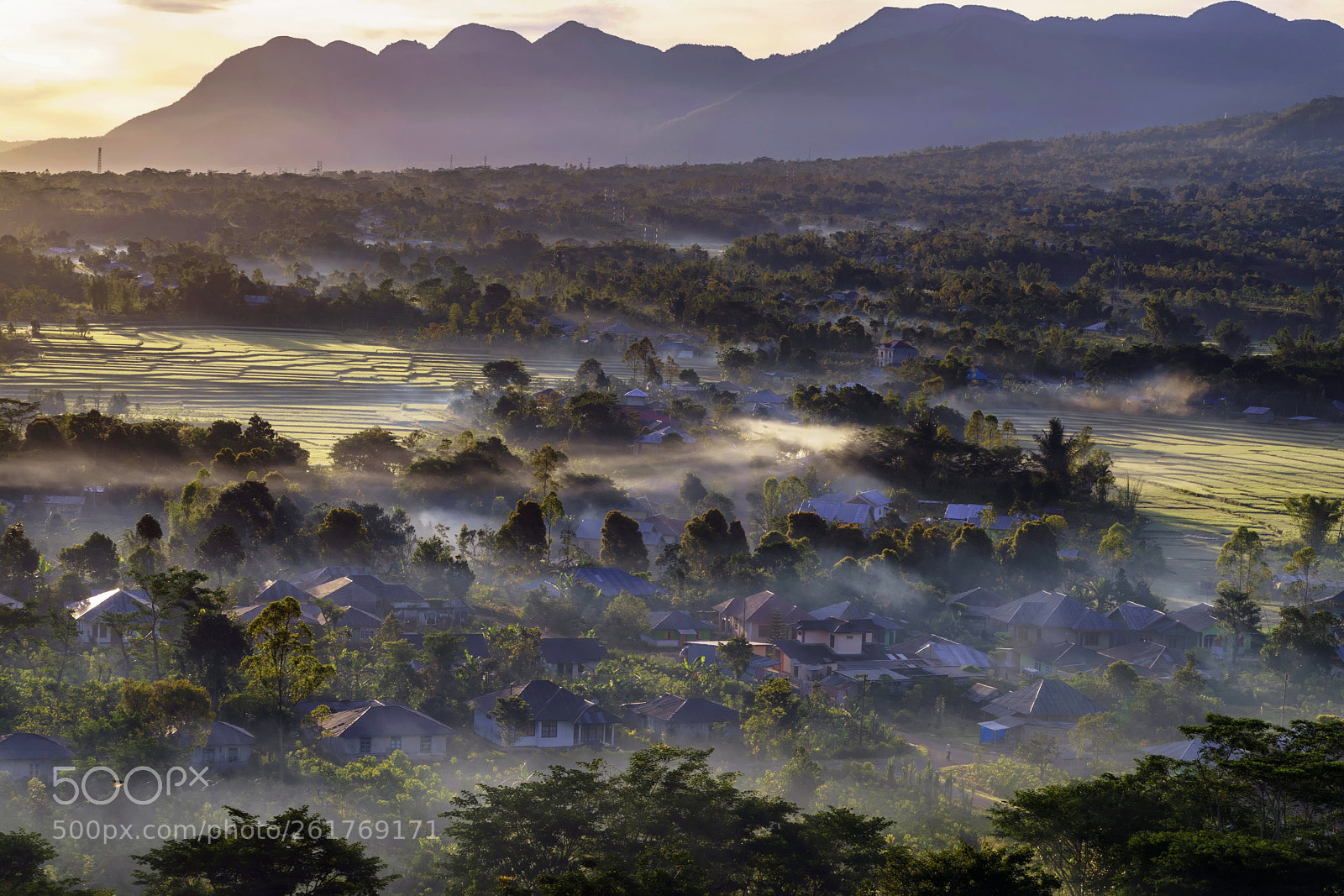 Sony a7 II sample photo. Morning mist in cancar photography
