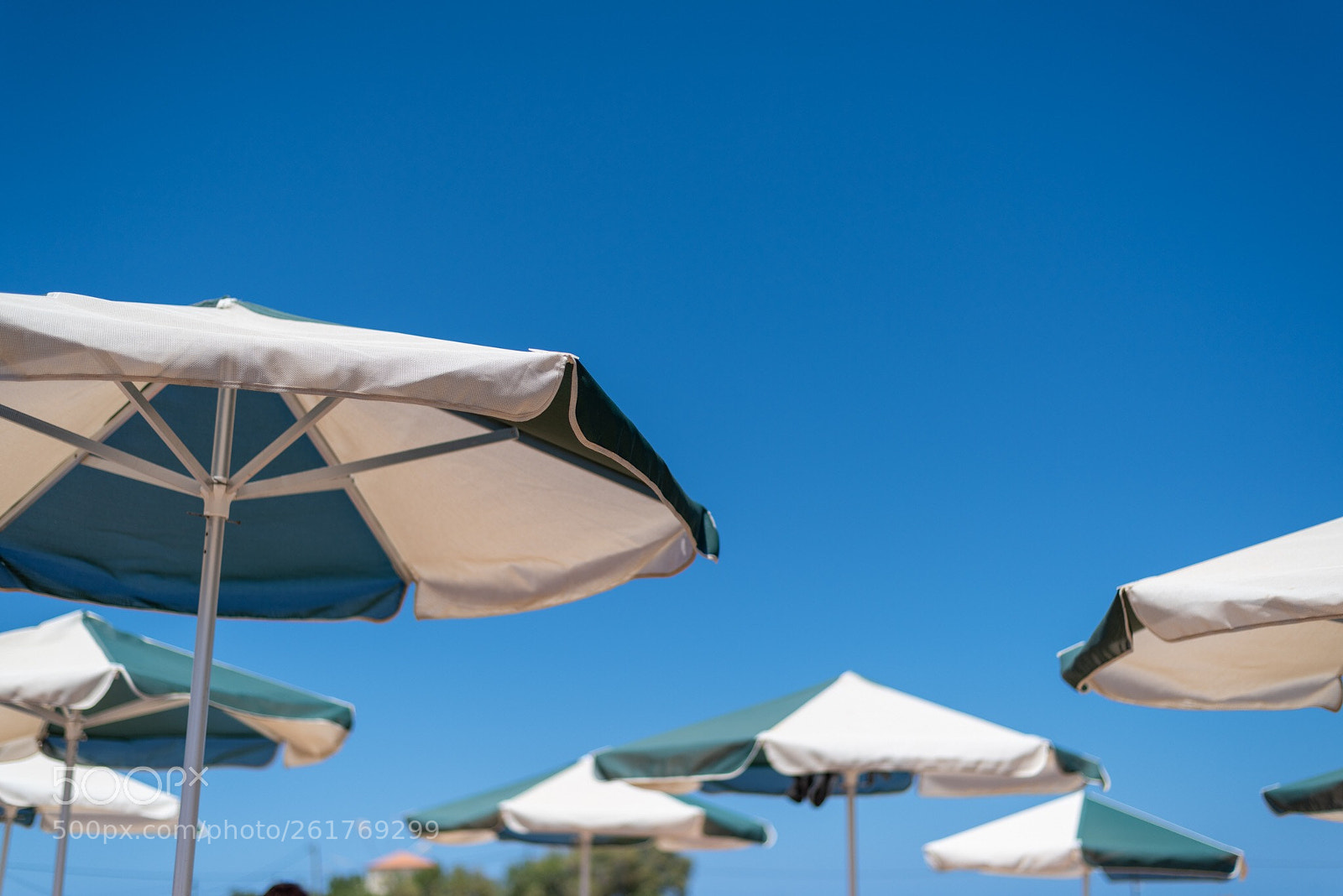 Nikon D810 sample photo. At the beach  photography