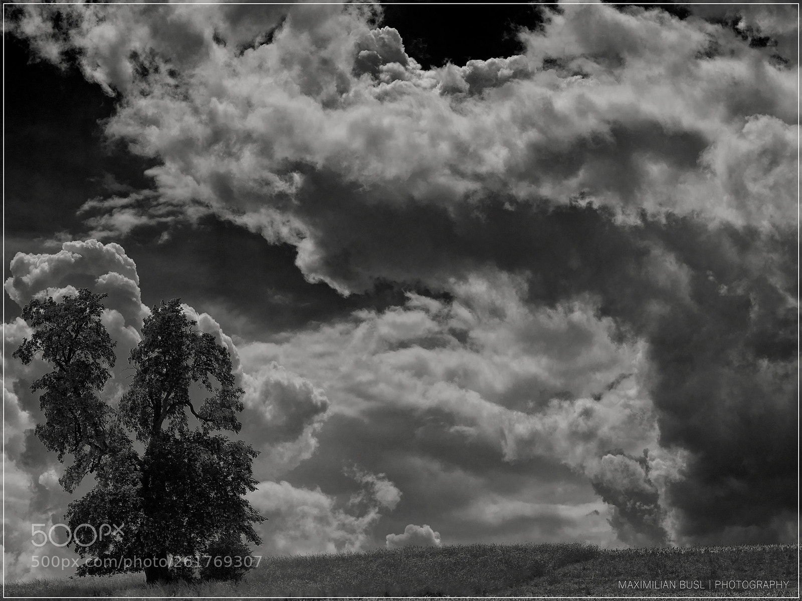 Nikon D850 sample photo. My homeland (ii) photography