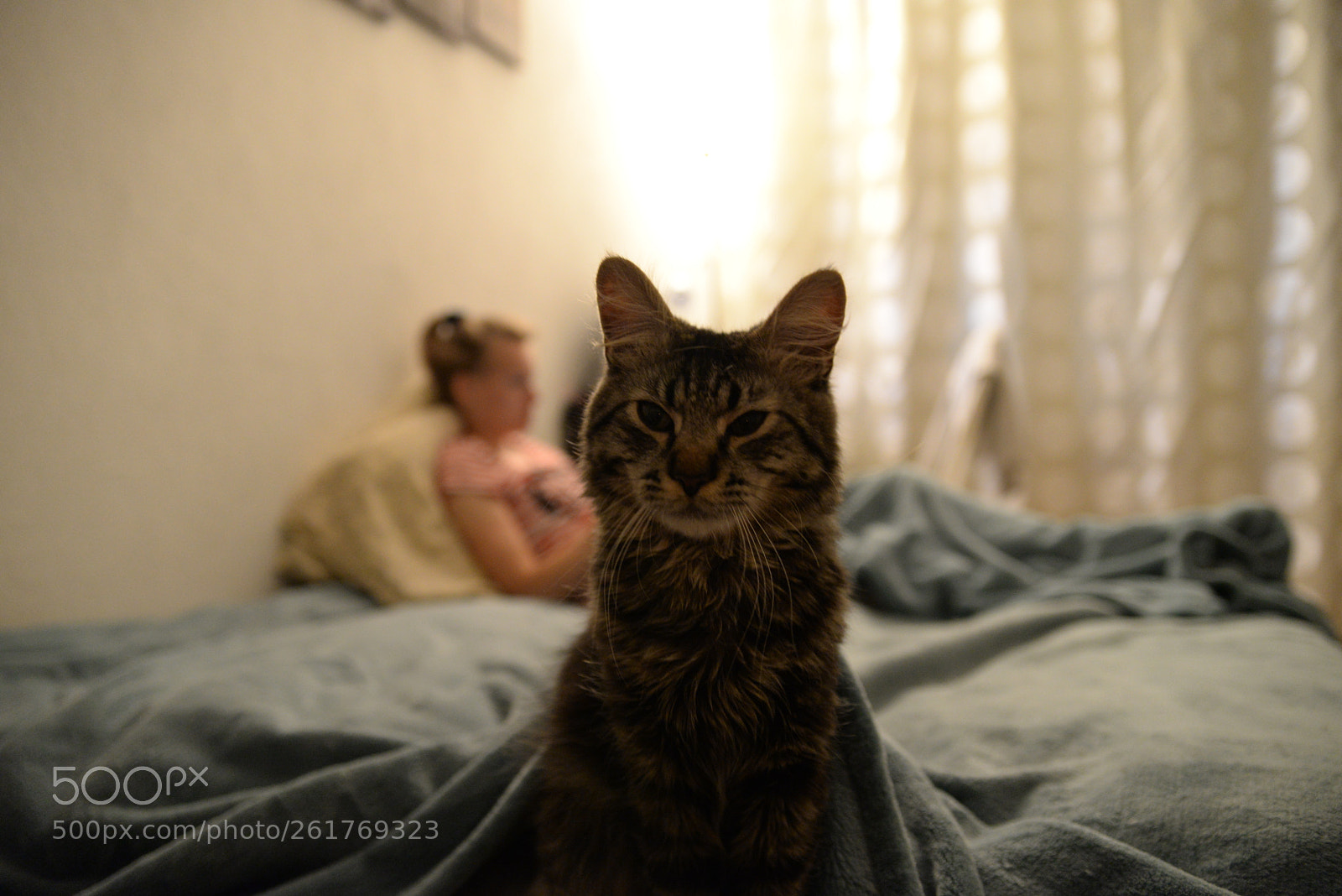 Nikon D610 sample photo. Рome cosiness photography