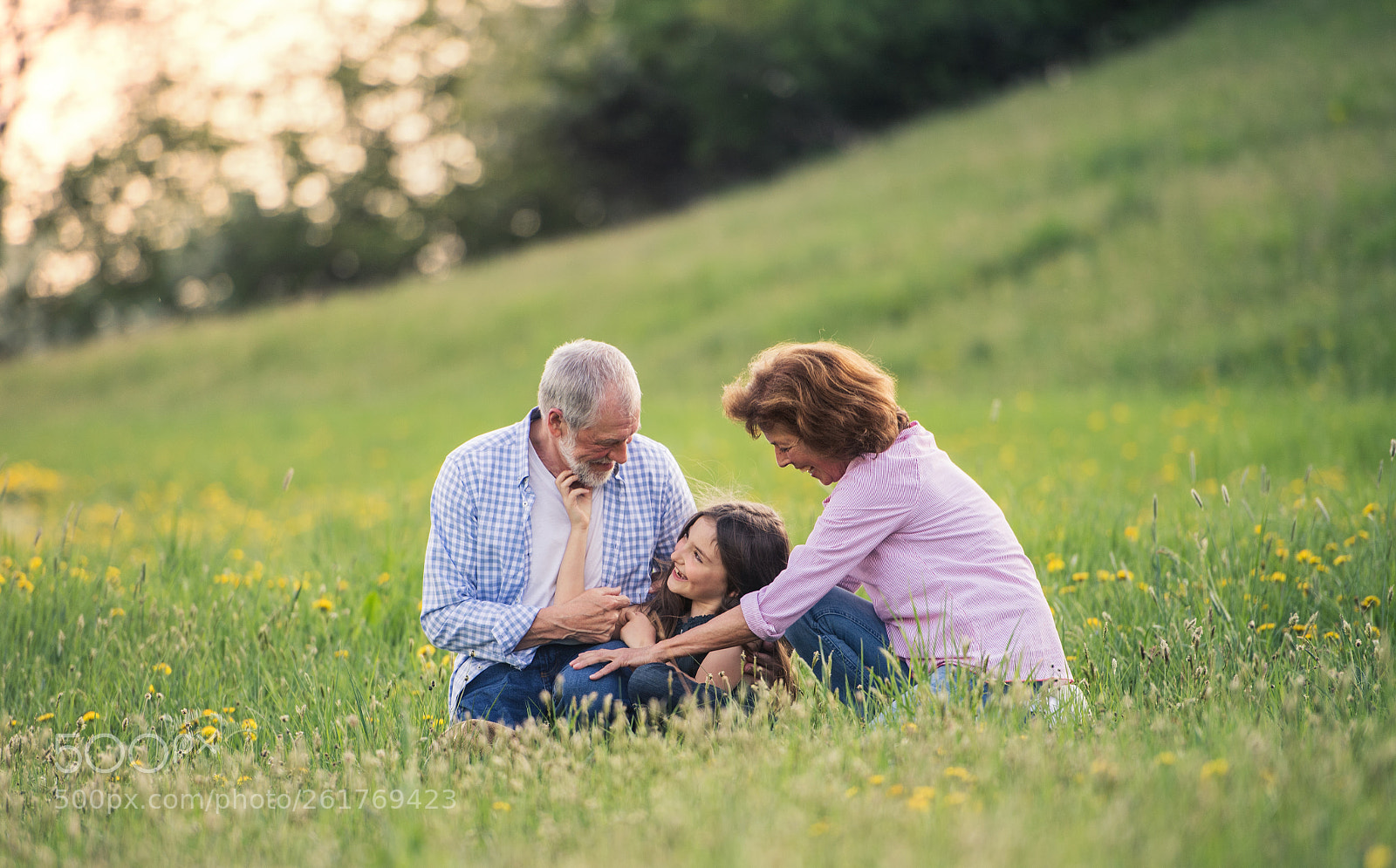 Nikon D5 sample photo. Senior couple with granddaughter photography