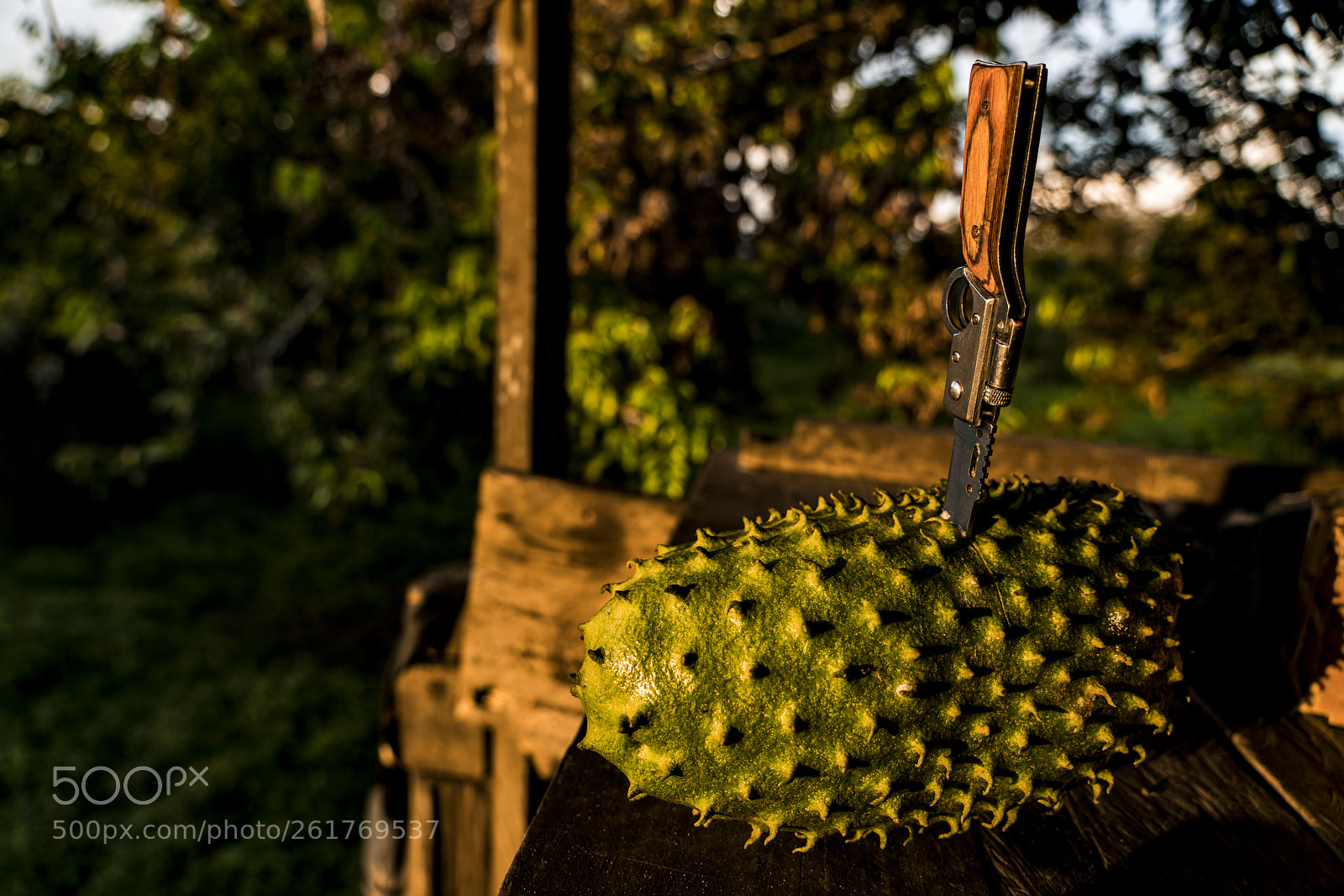 Sony a7R III sample photo. Soursop, graviola or guanabana photography