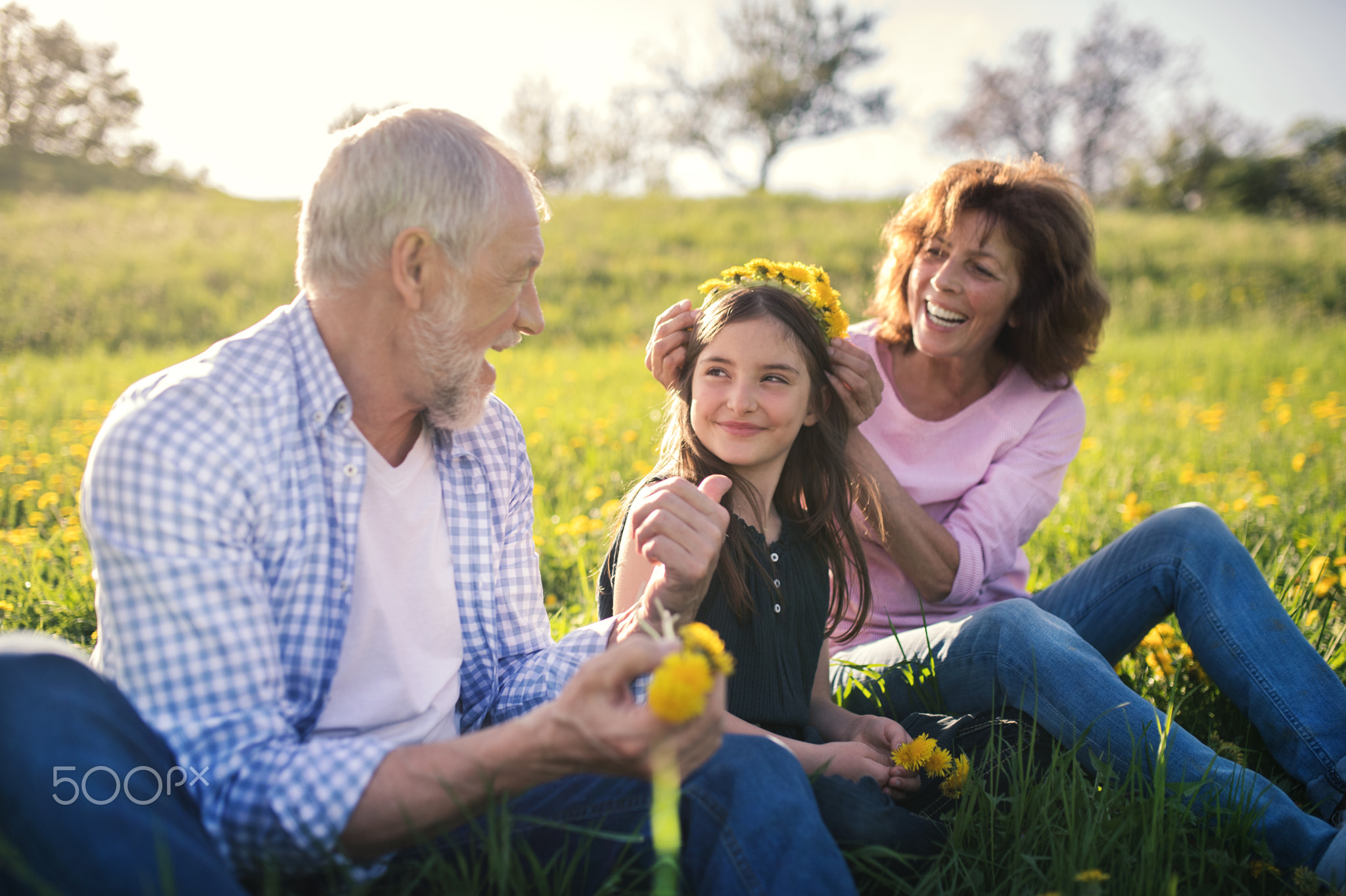 Senior couple with granddaughter outside in spring nature, making dandelion wreath.