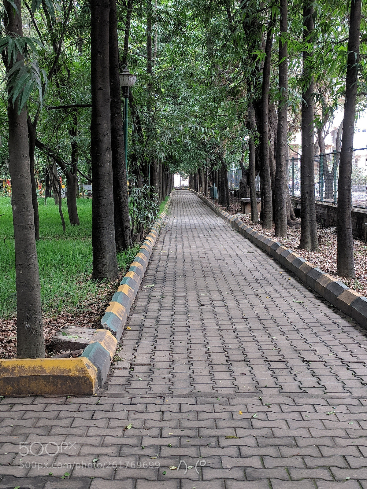 Google Pixel XL sample photo. Park path photography