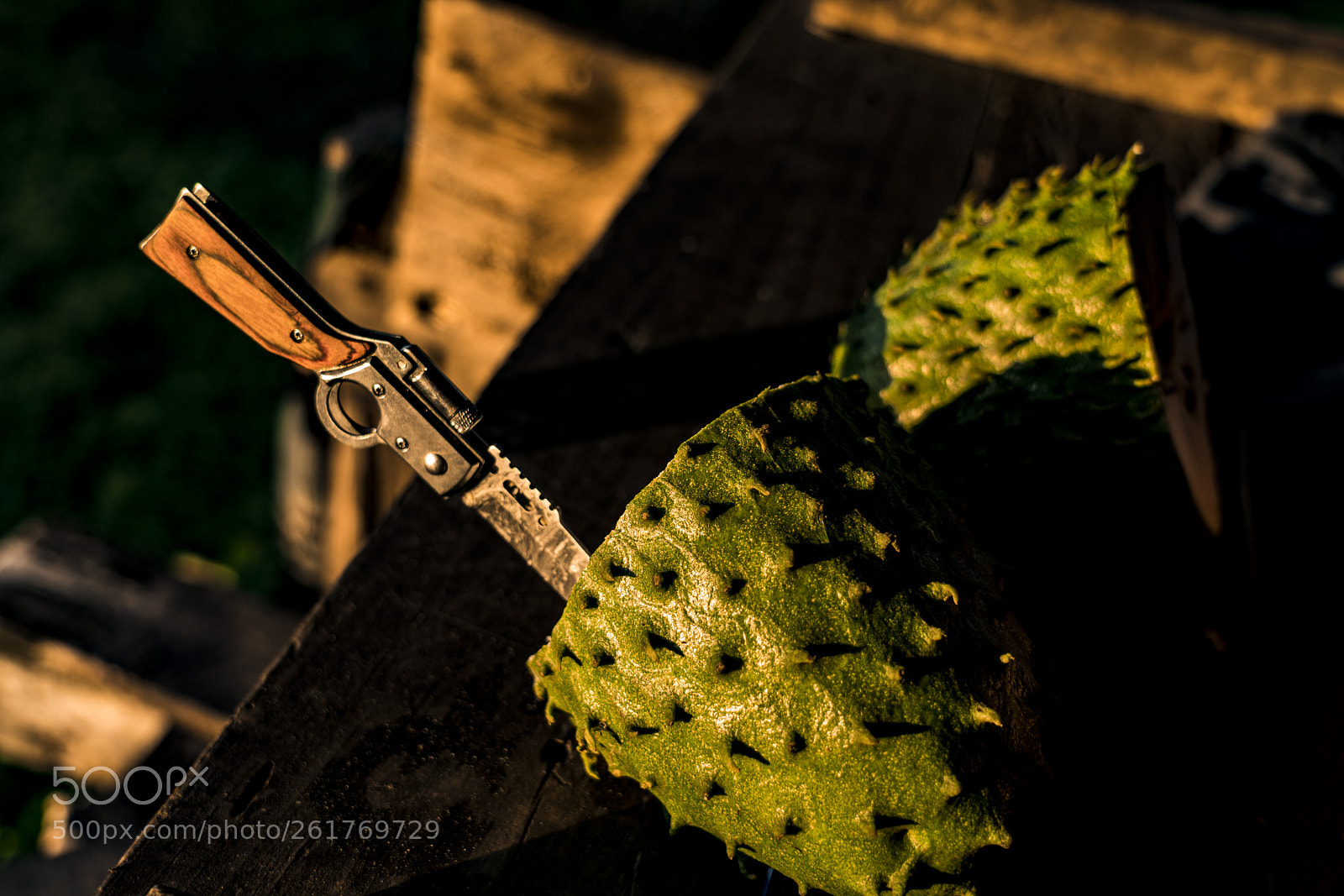 Sony a7R III sample photo. Soursop, graviola or guanabana photography