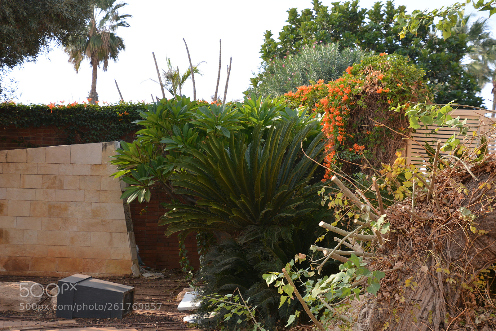 Nikon D7100 sample photo. Sharon beach - herzliya photography