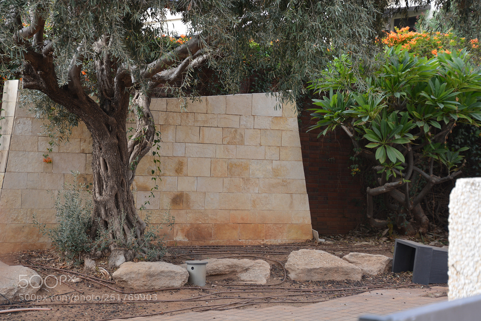Nikon D7100 sample photo. Sharon beach - herzliya photography
