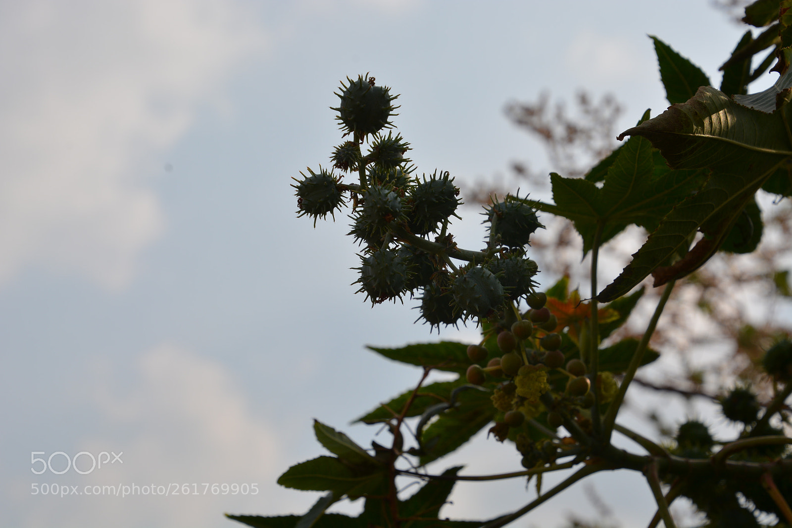 Nikon D7100 sample photo. Sharon beach - herzliya photography