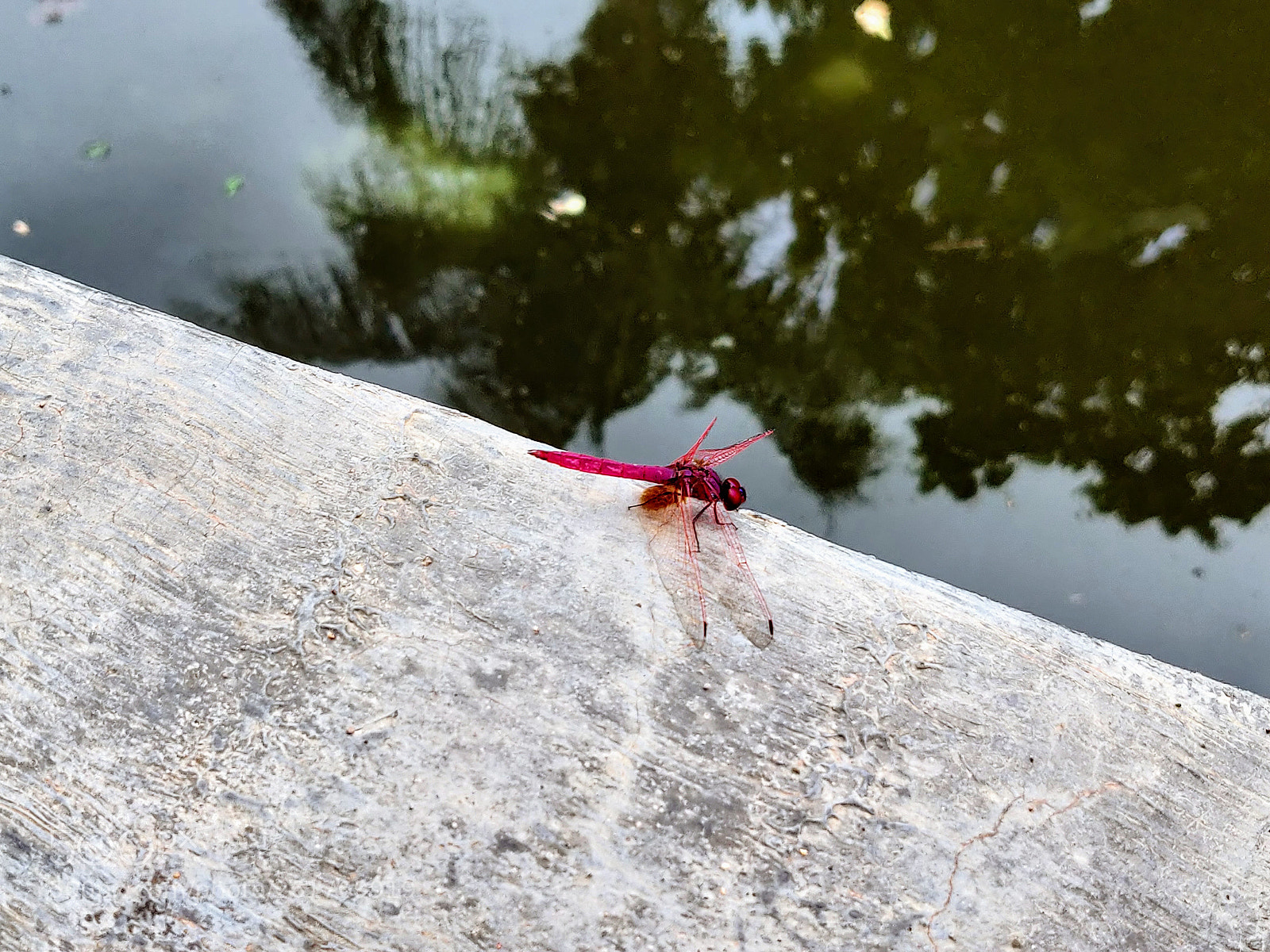 OnePlus A6000 sample photo. Untitled photography