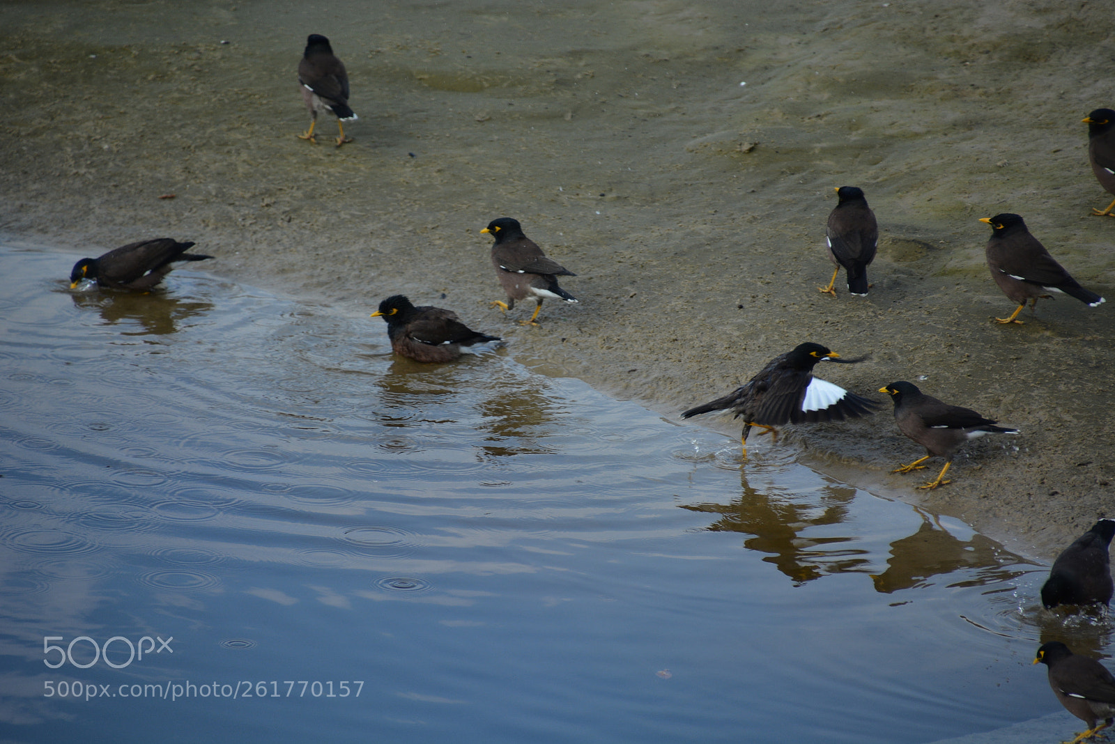 Nikon D7100 sample photo. Sharon beach - herzliya photography