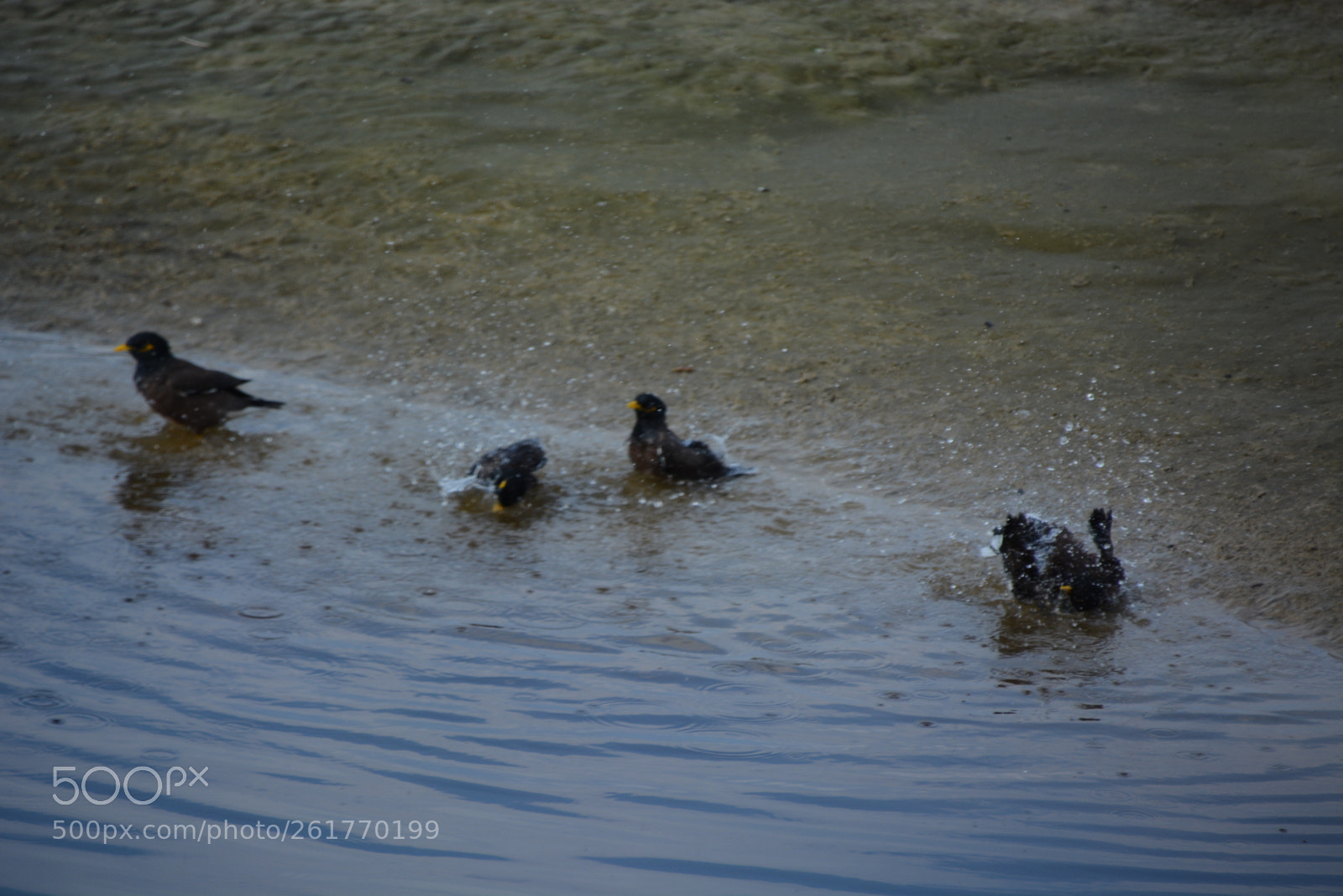 Nikon D7100 sample photo. Sharon beach - herzliya photography