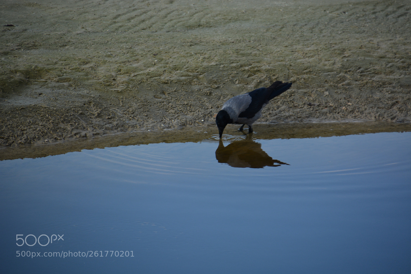 Nikon D7100 sample photo. Sharon beach - herzliya photography