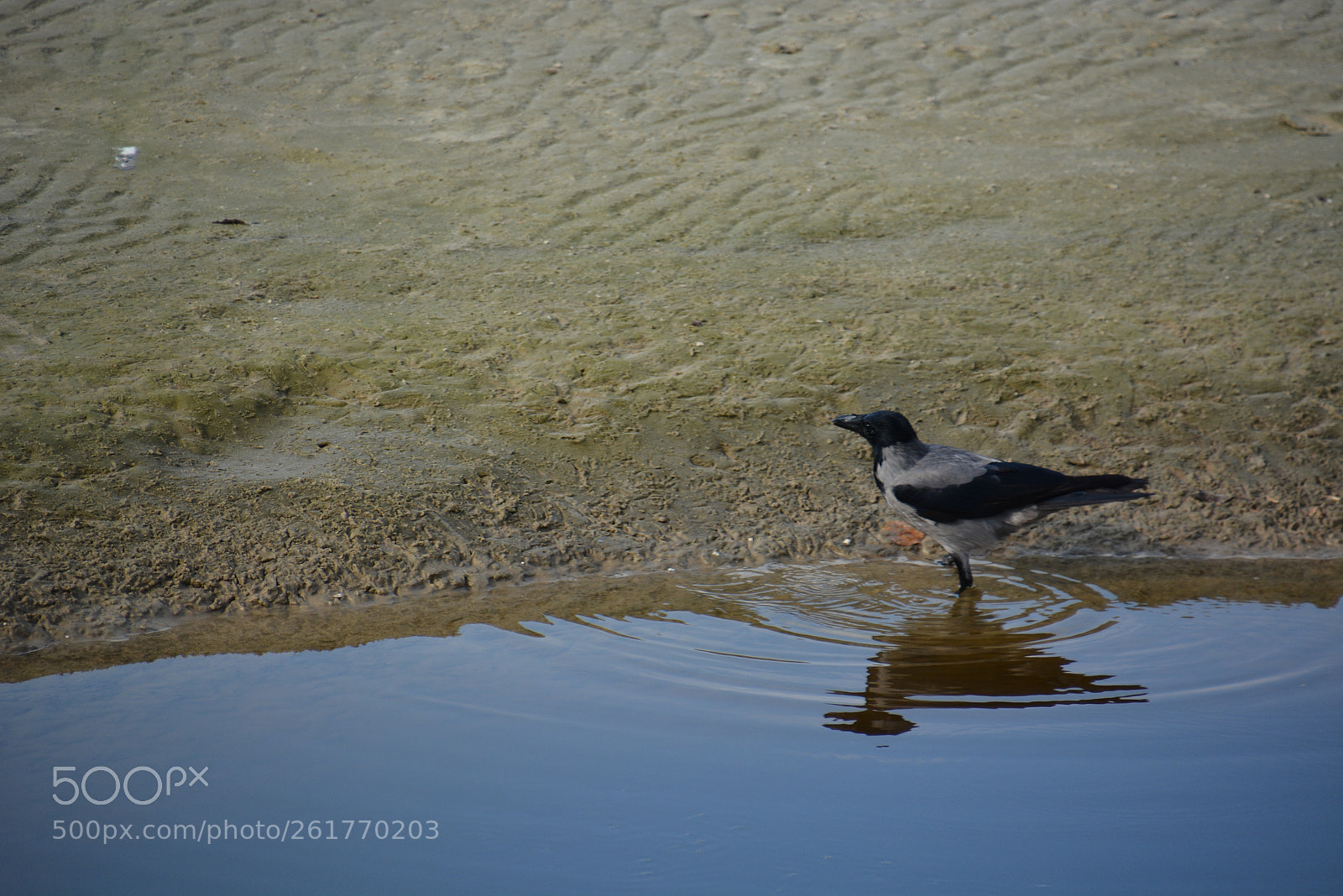 Nikon D7100 sample photo. Sharon beach - herzliya photography