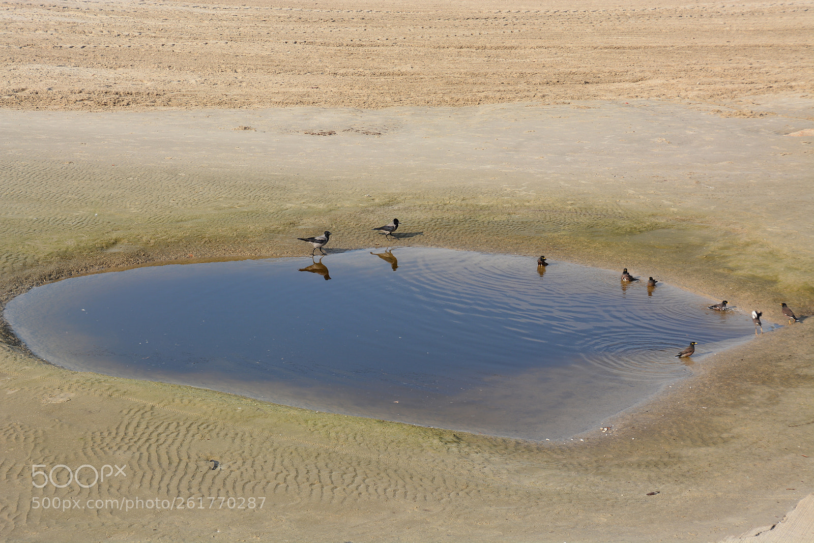 Nikon D7100 sample photo. Sharon beach - herzliya photography