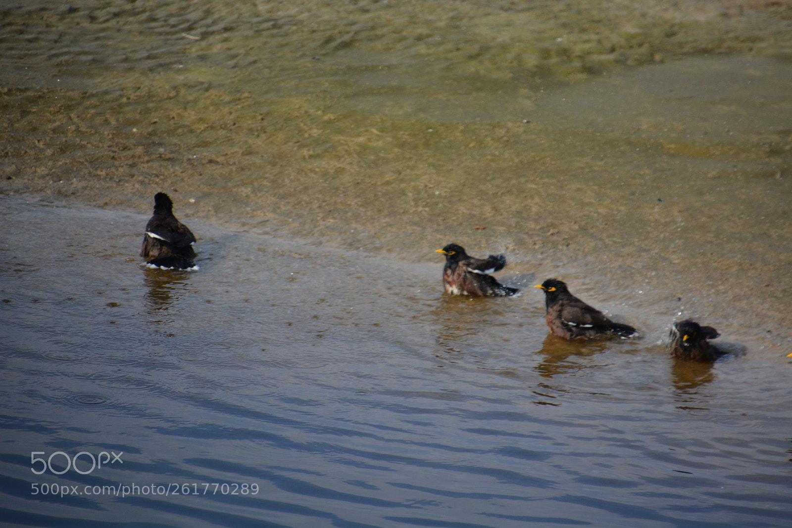 Nikon D7100 sample photo. Sharon beach - herzliya photography