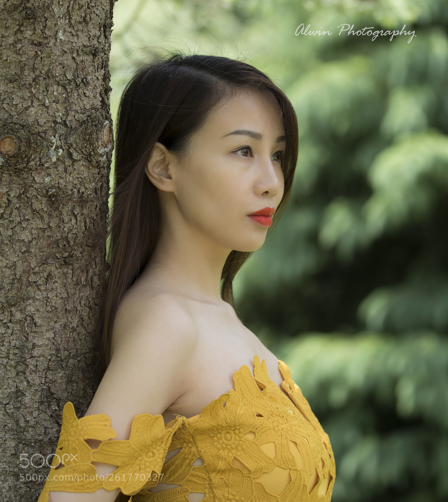 Canon EOS 5D Mark IV sample photo. Meow01 photography