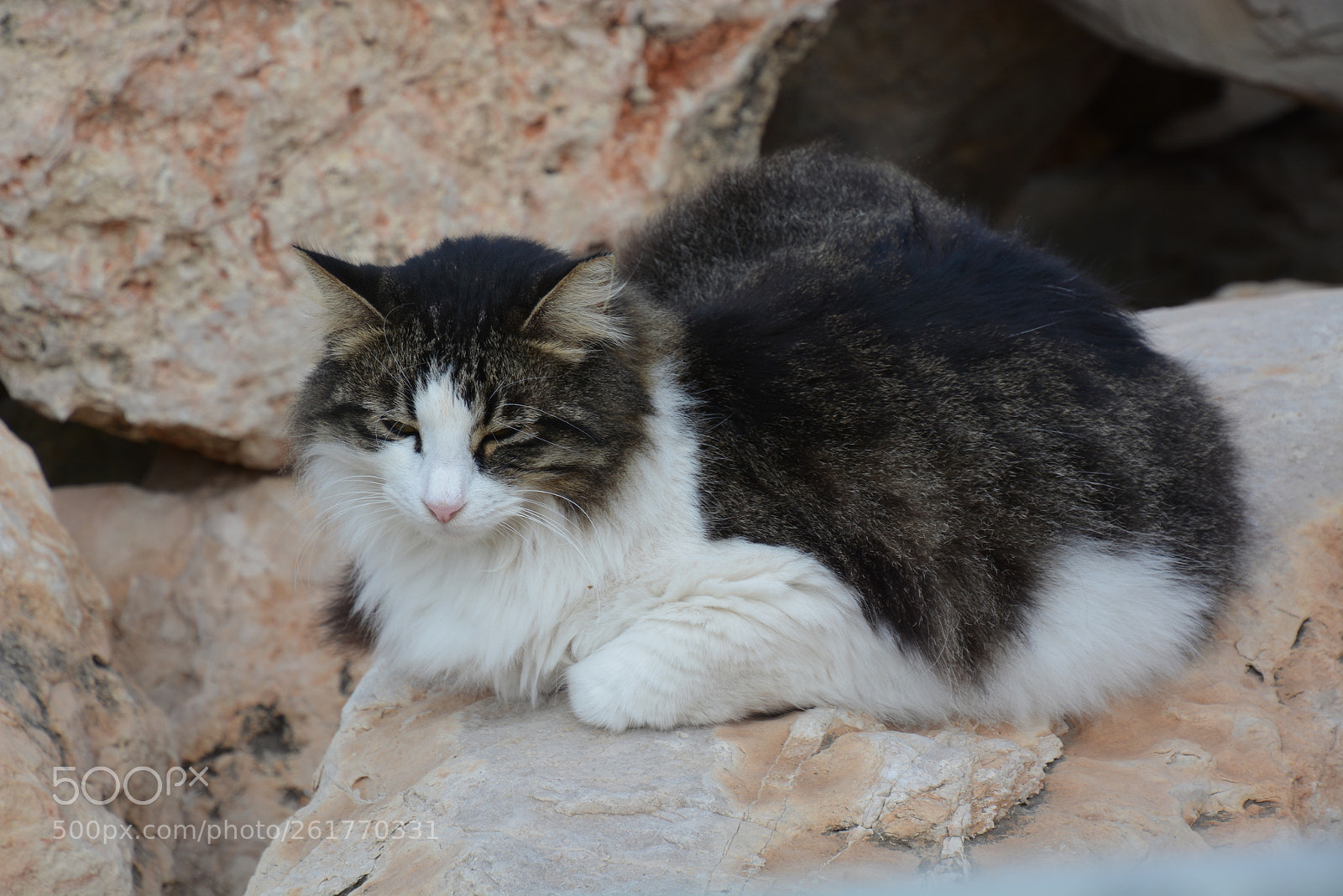 Nikon D7100 sample photo. Sharon beach - herzliya photography