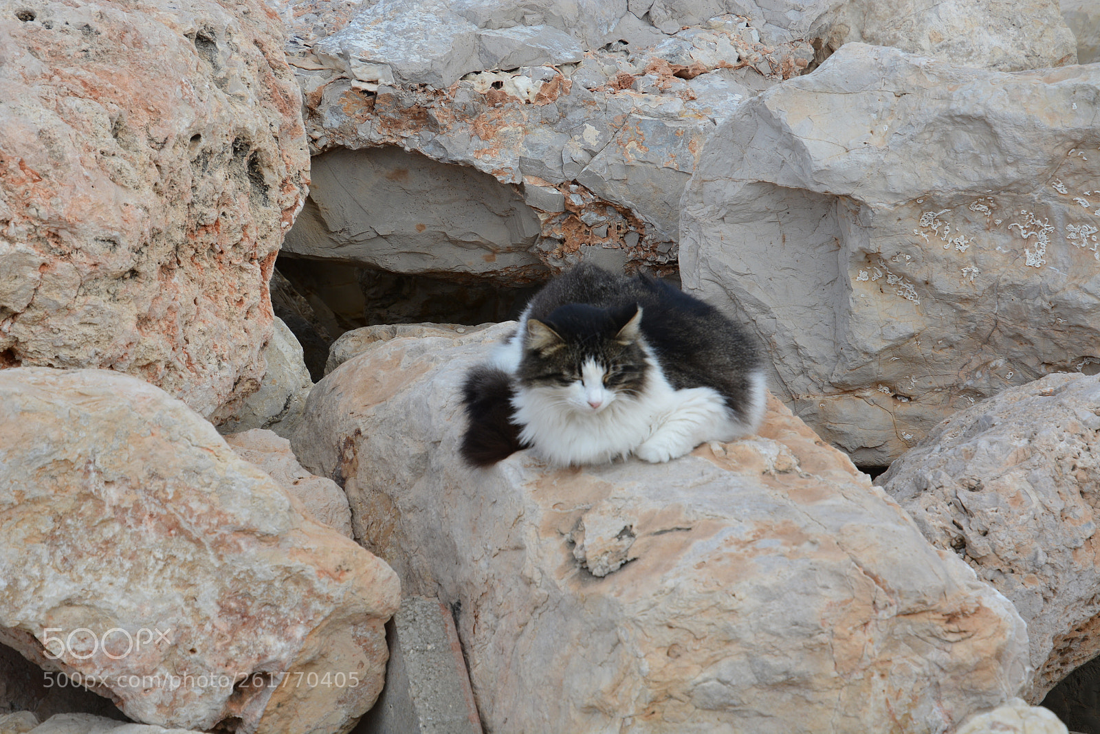 Nikon D7100 sample photo. Sharon beach - herzliya photography