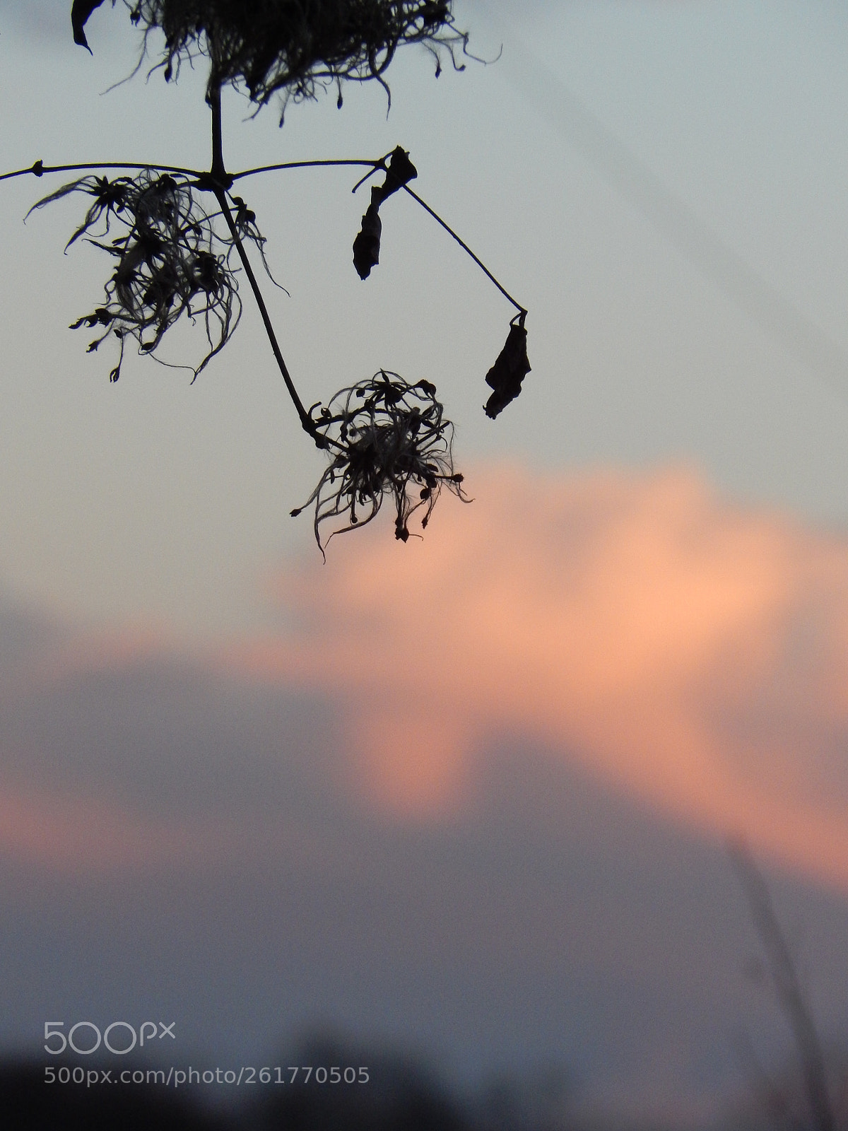 Nikon Coolpix L830 sample photo. Summer evenings photography