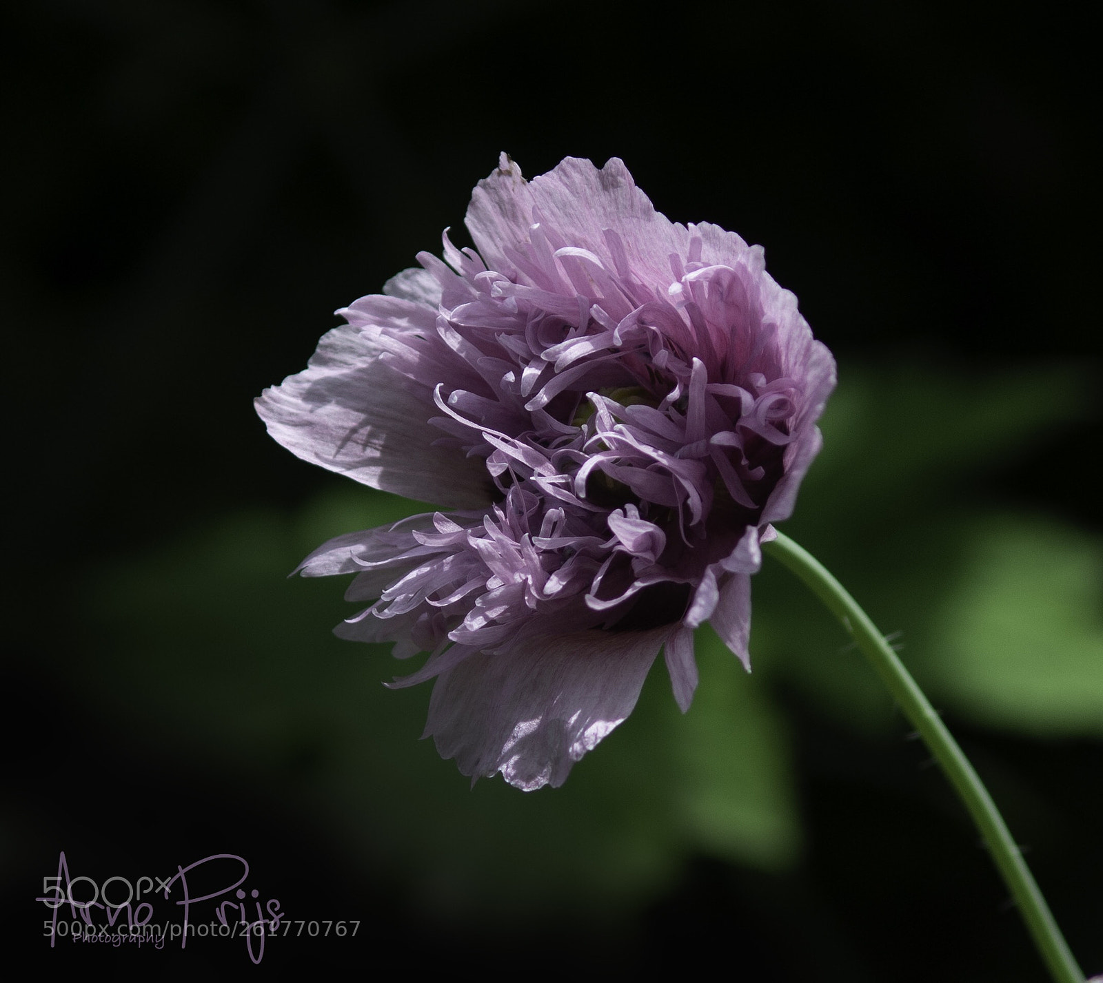 Nikon D7100 sample photo. Waves photography