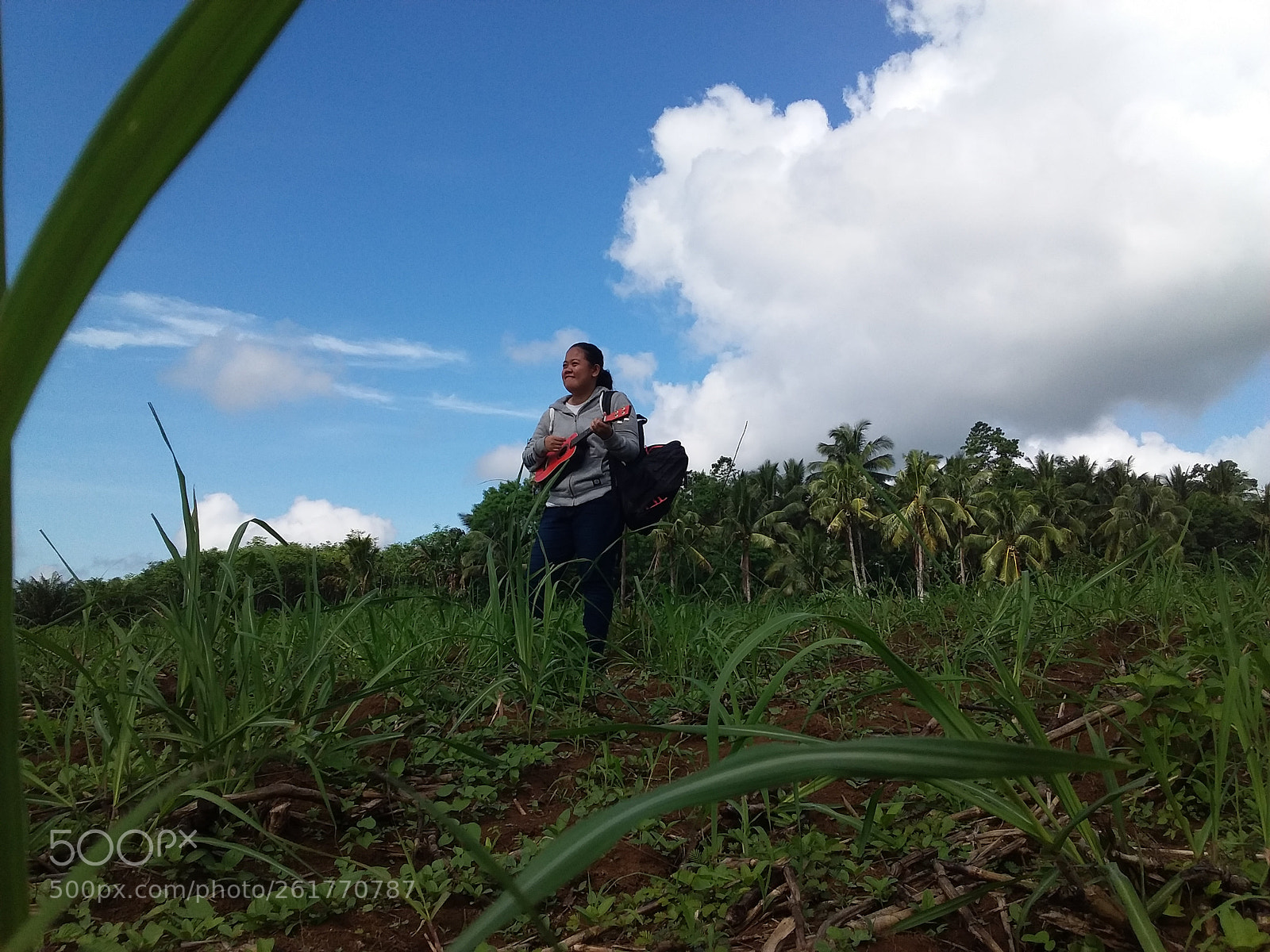 Samsung Galaxy J3(2016) sample photo. Ukulele photography