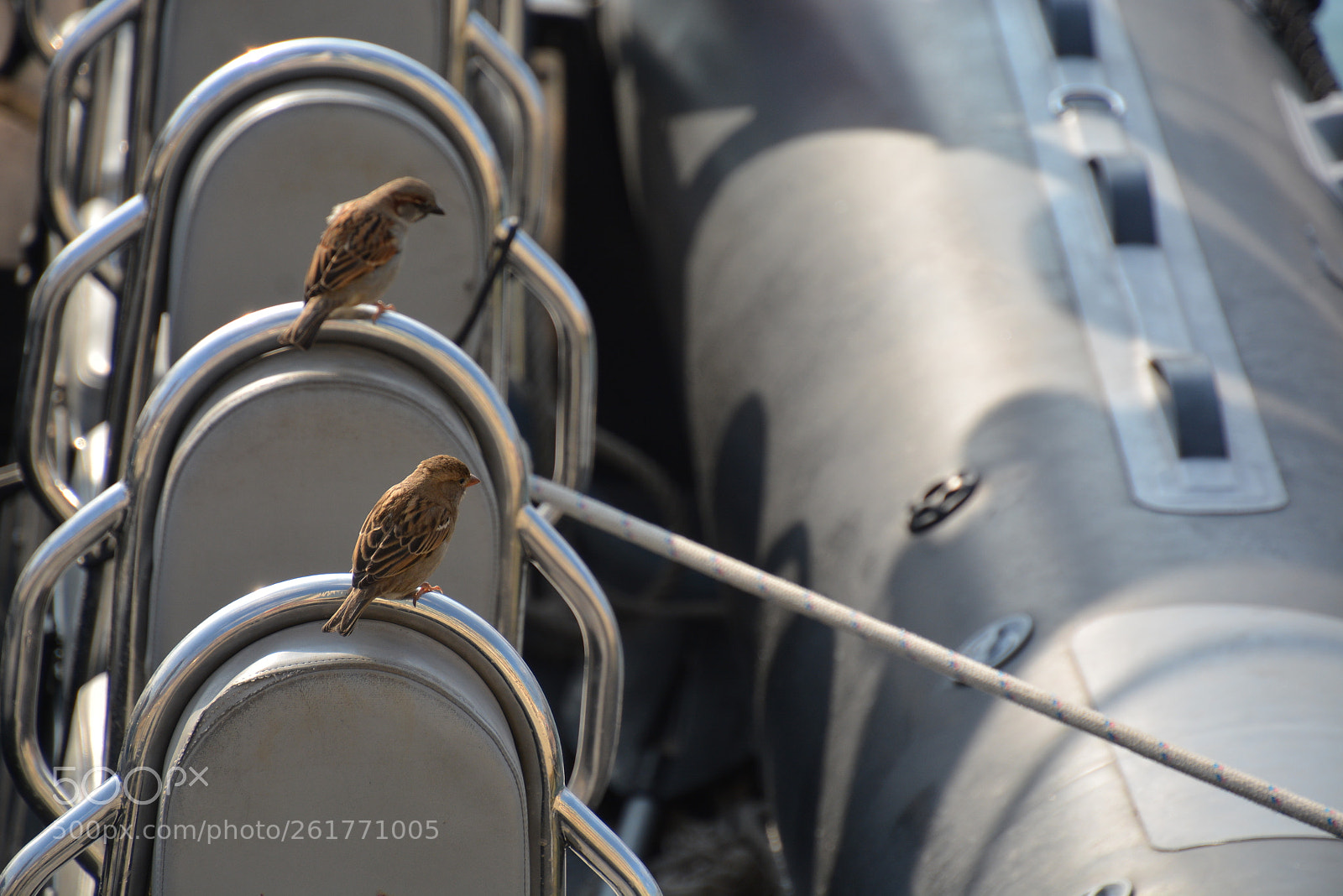 Nikon D7100 sample photo. Sharon beach - herzliya photography