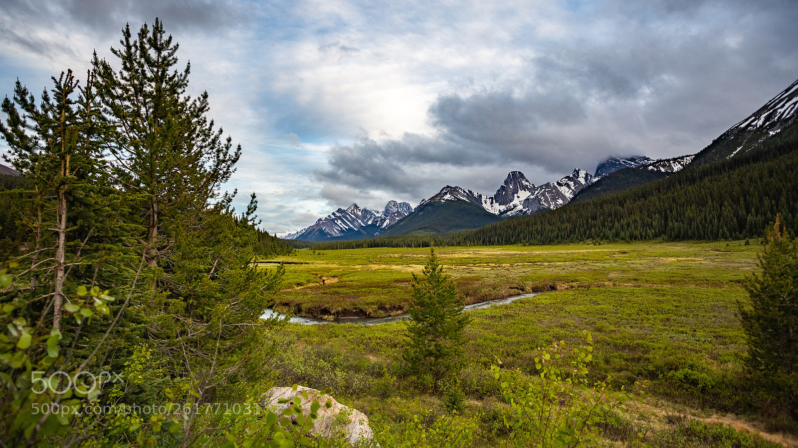 Canon EOS 6D sample photo. Mountain meadow photography