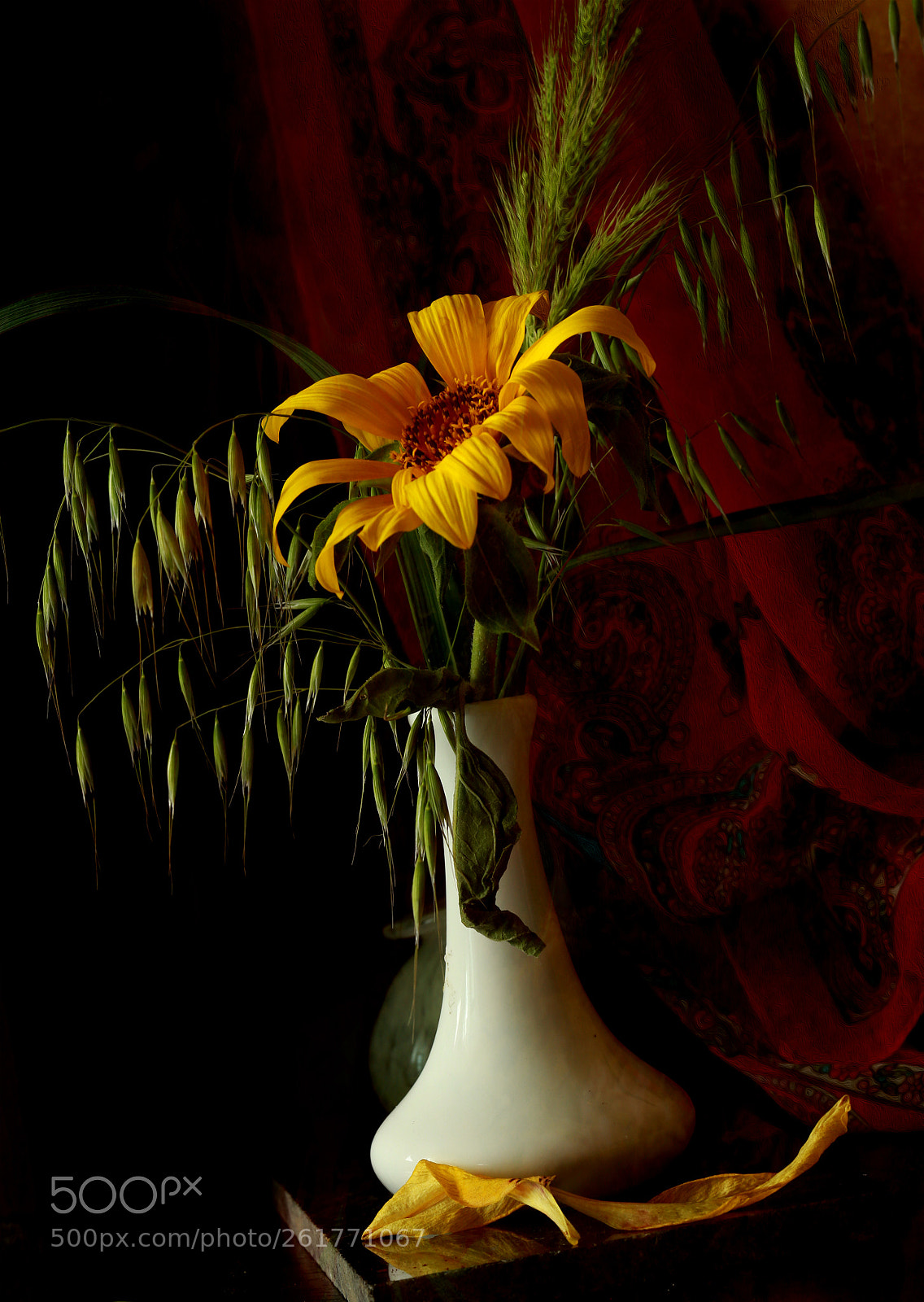 Canon EOS 6D sample photo. Sunflower photography