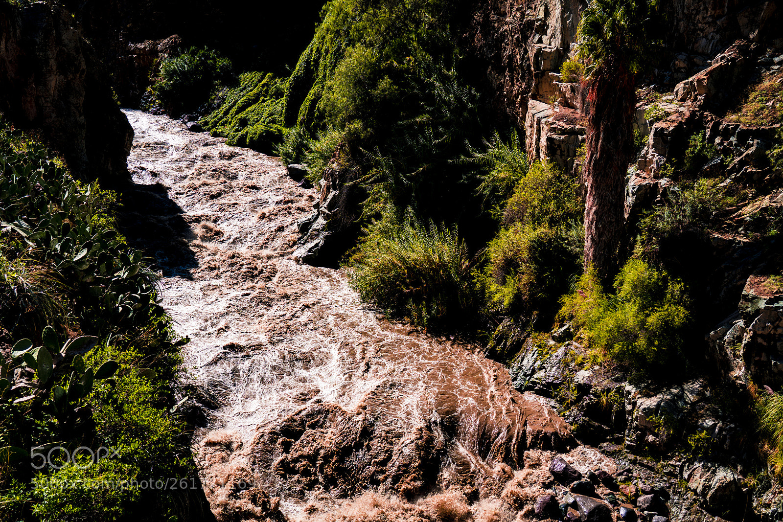 Sony a7R III sample photo. Colca river through colca photography