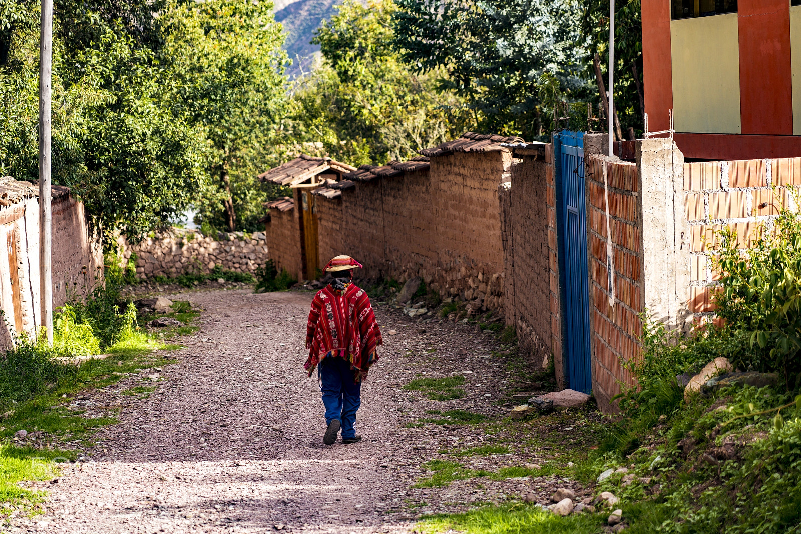 Sony a7R III sample photo. Indigenous man walking through photography