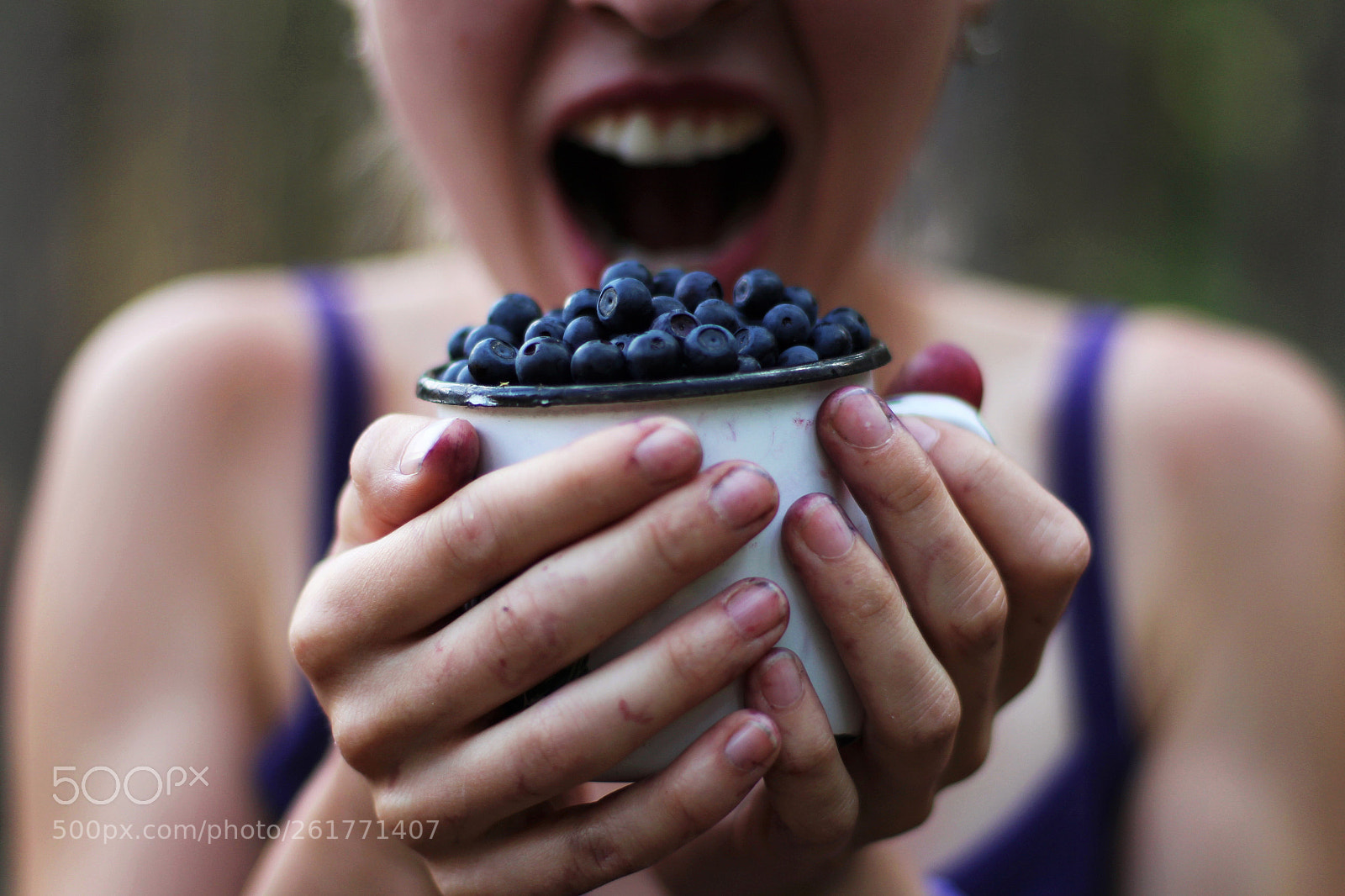Canon EOS 100D (EOS Rebel SL1 / EOS Kiss X7) sample photo. Blueberries-mania photography