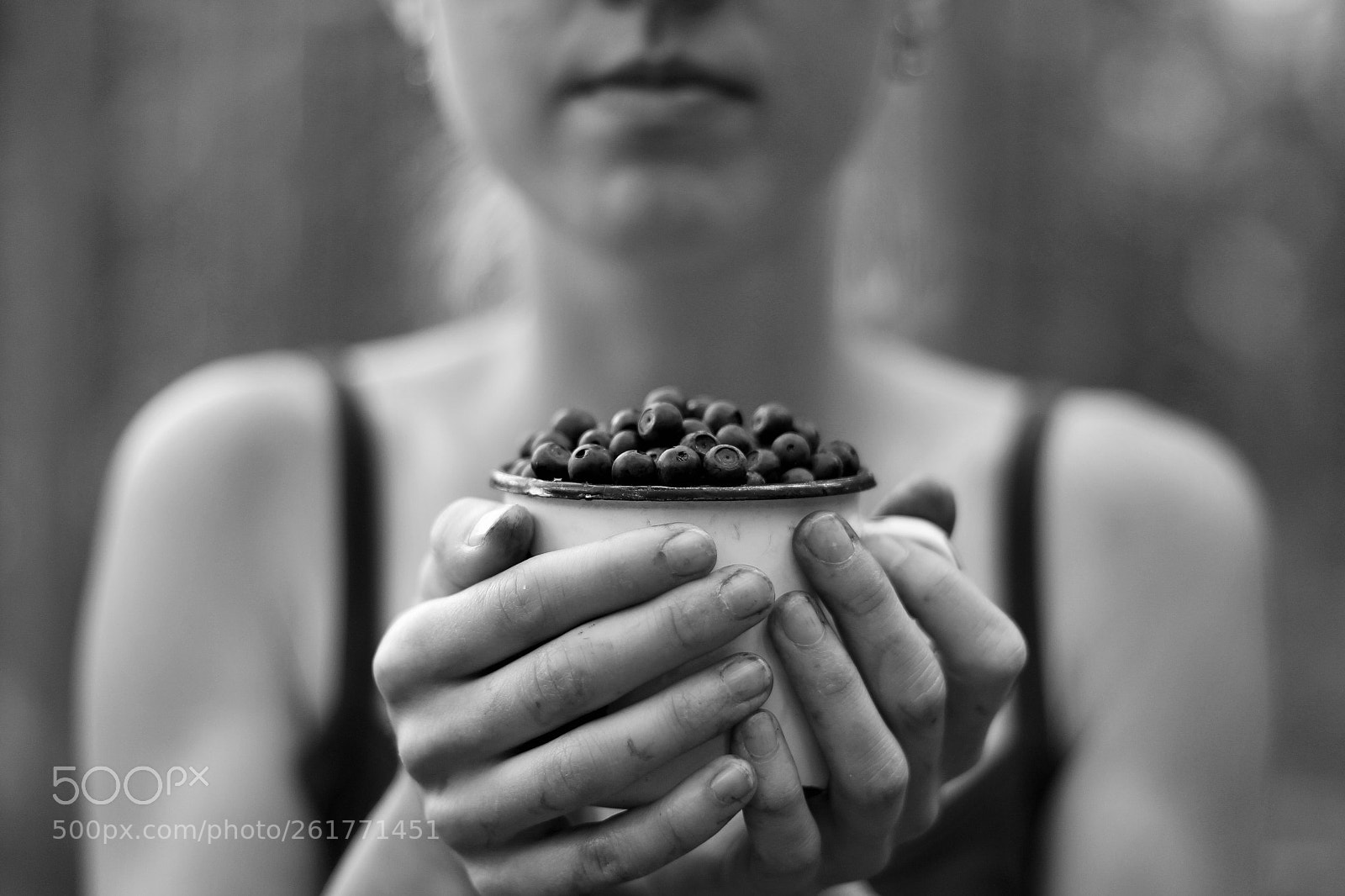 Canon EOS 100D (EOS Rebel SL1 / EOS Kiss X7) sample photo. Blueberries-mania photography