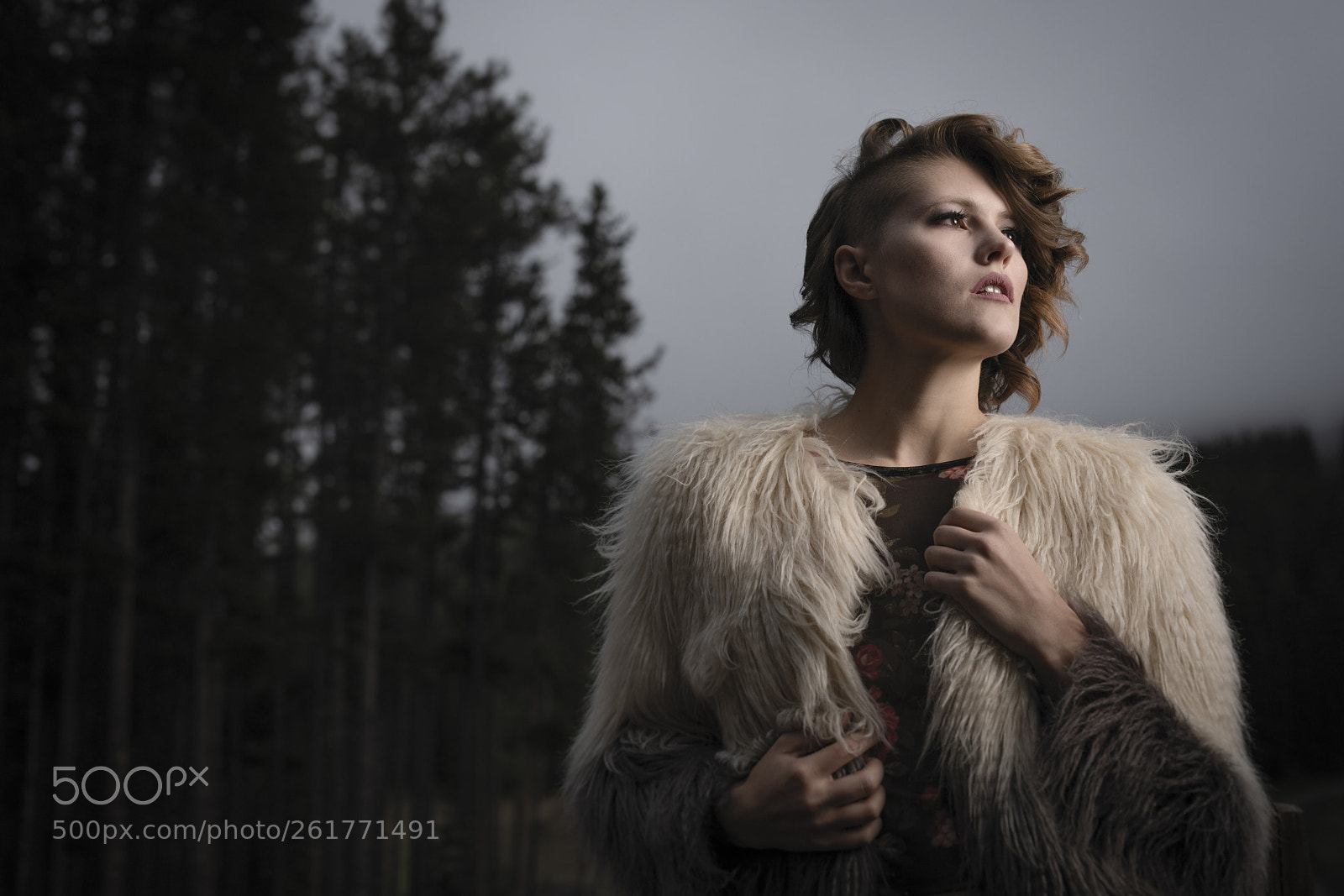 Canon EOS 5D Mark IV sample photo. Back to nature photography